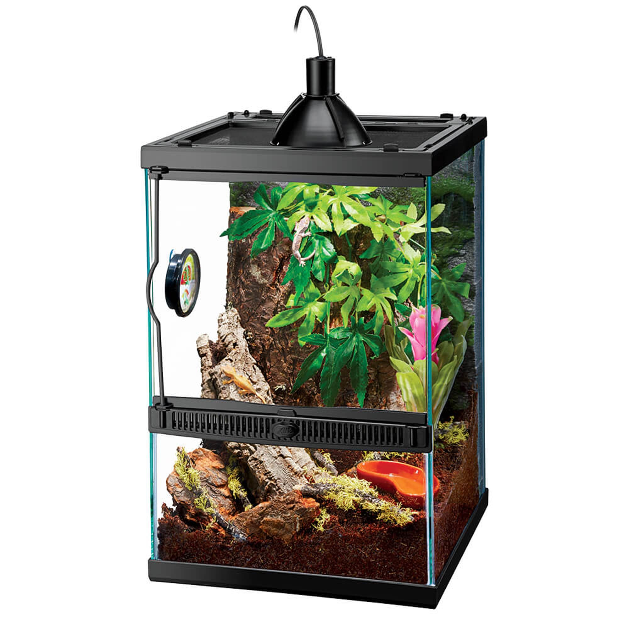  Zilla Pet Reptile Terrarium Fresh Air Screen Cover with Hinged  Door 20 x 10 : Aquarium Screen : Pet Supplies