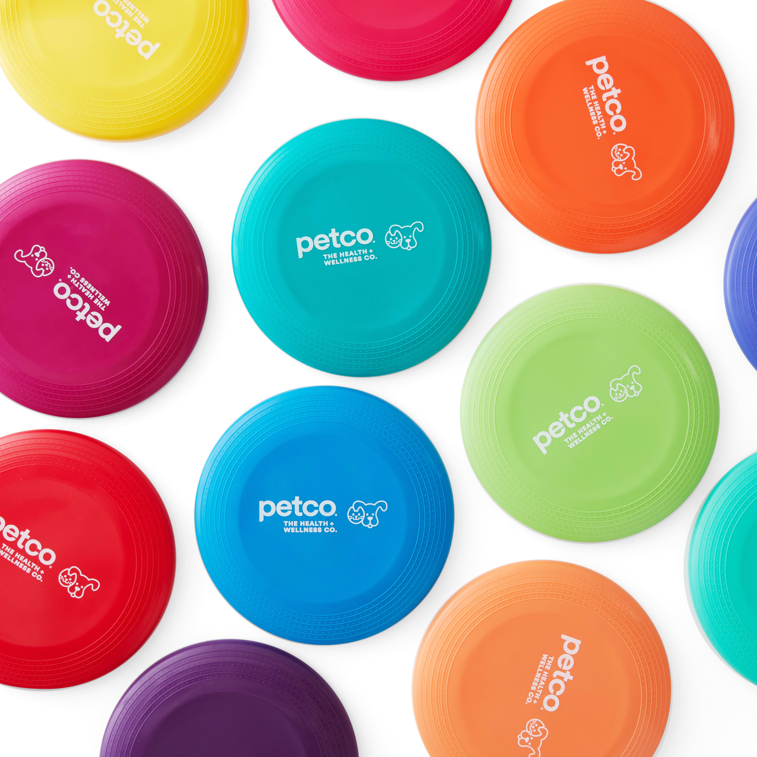 Petco kong frisbee best sale