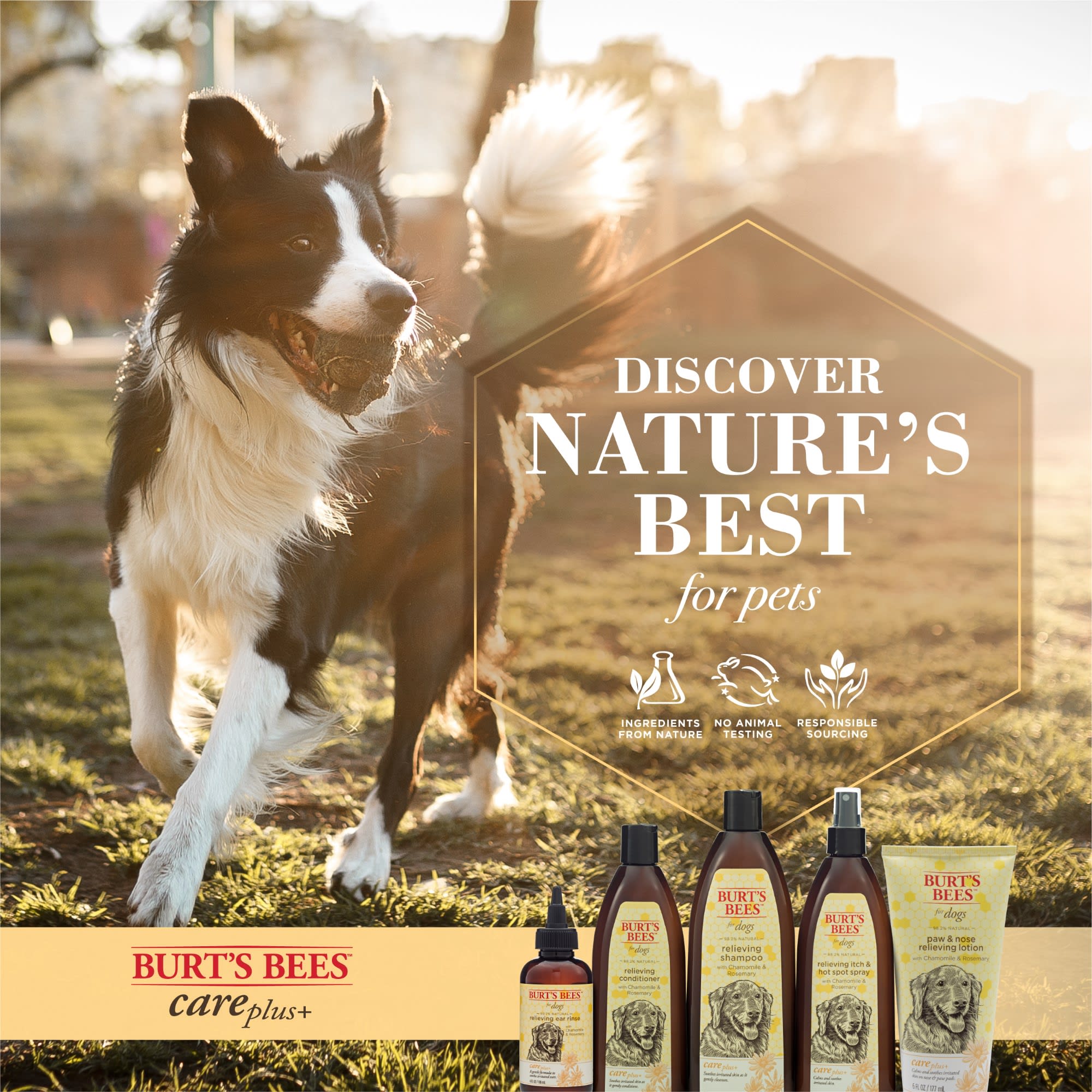 Burt's bees hot spot spray sales for dogs