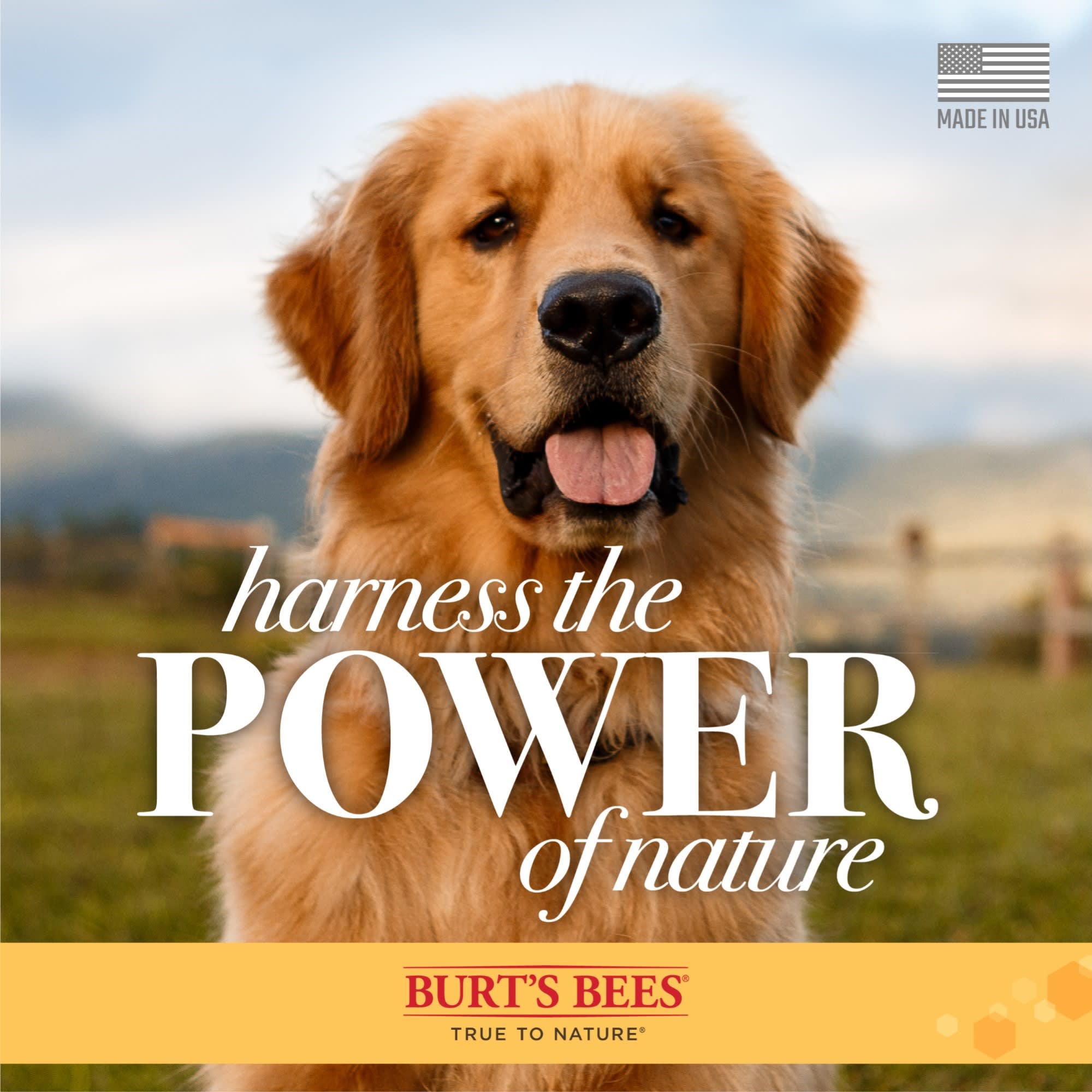 Burt's bees care plus+ hydrating coconut 2025 oil dog shampoo