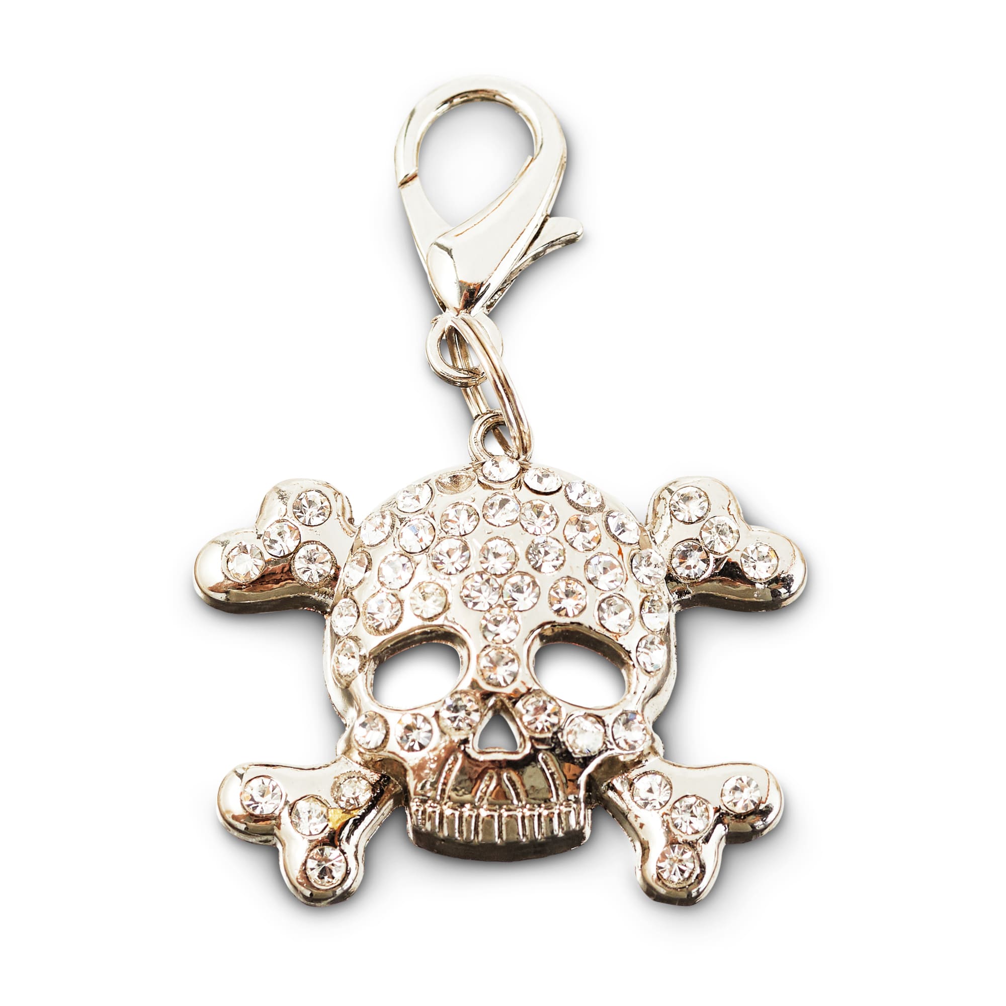 Bond Co Sparkle Skull Dog Collar Charm Large Petco