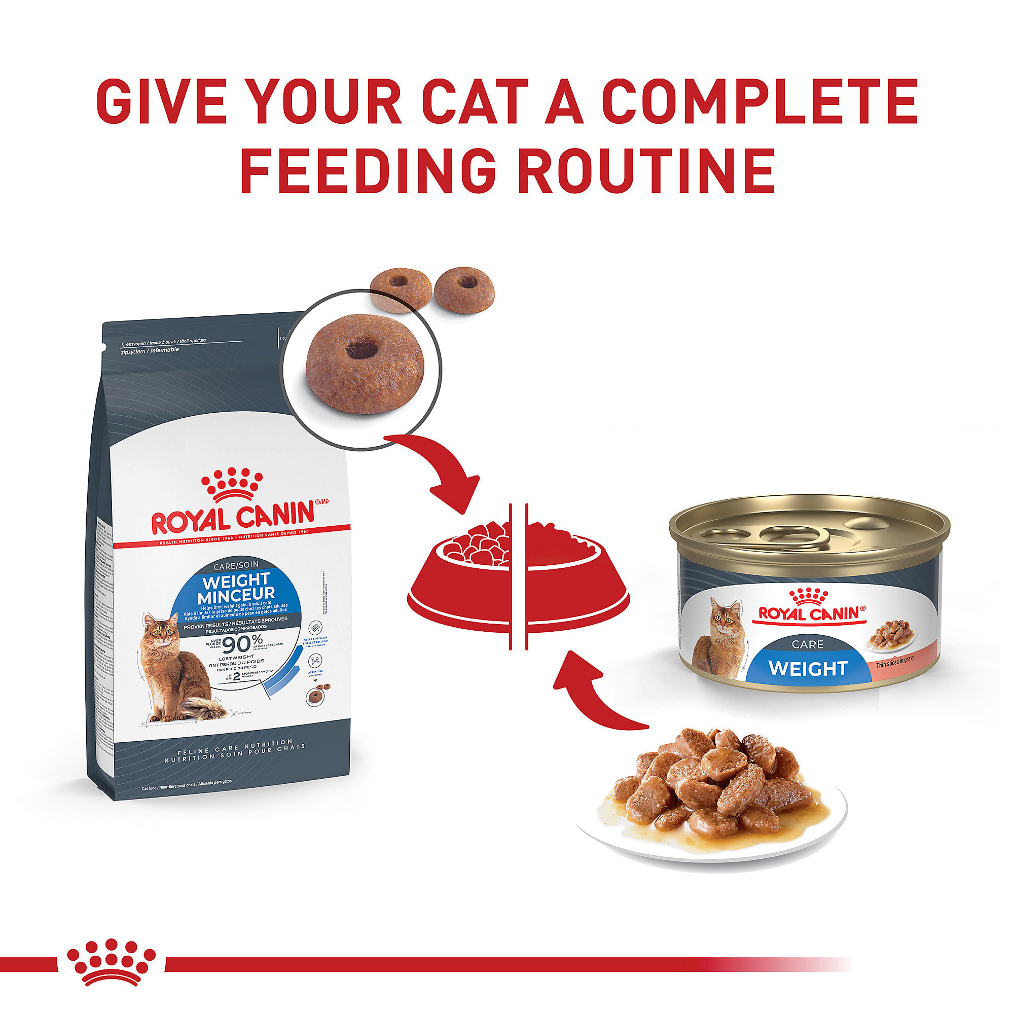 Wet cat food outlet to help gain weight