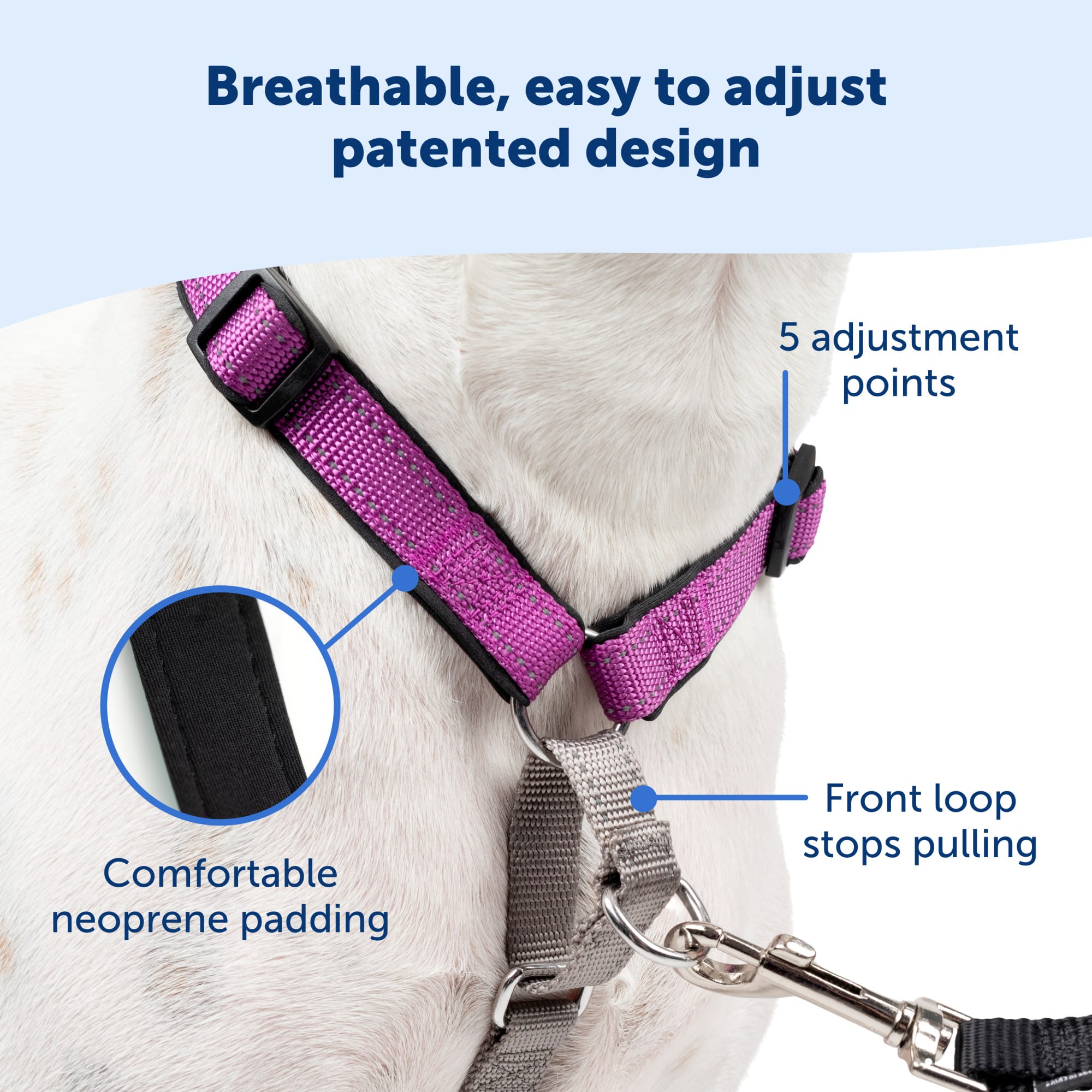 PetSafe 3 in 1 Medium Dog Harness Plum for Walking Travel