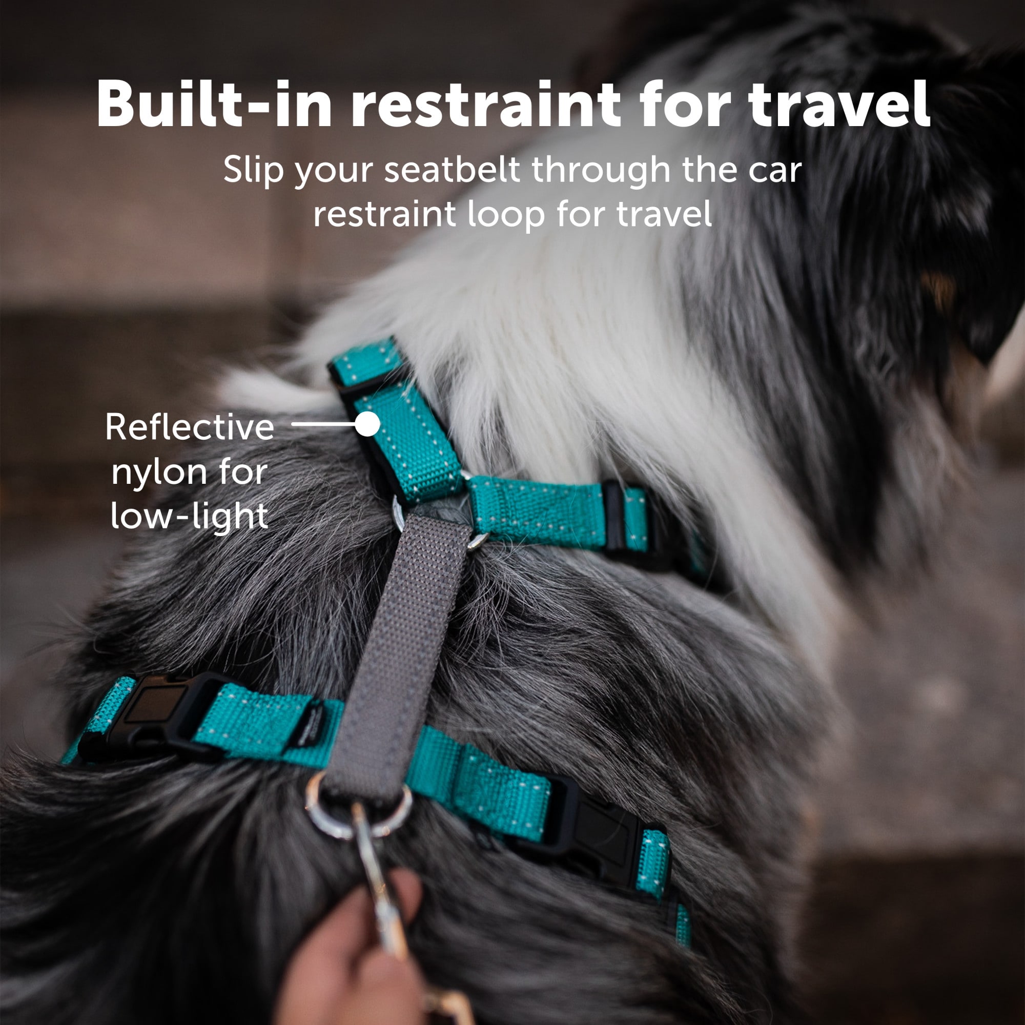 Petsafe In Harness Instructions