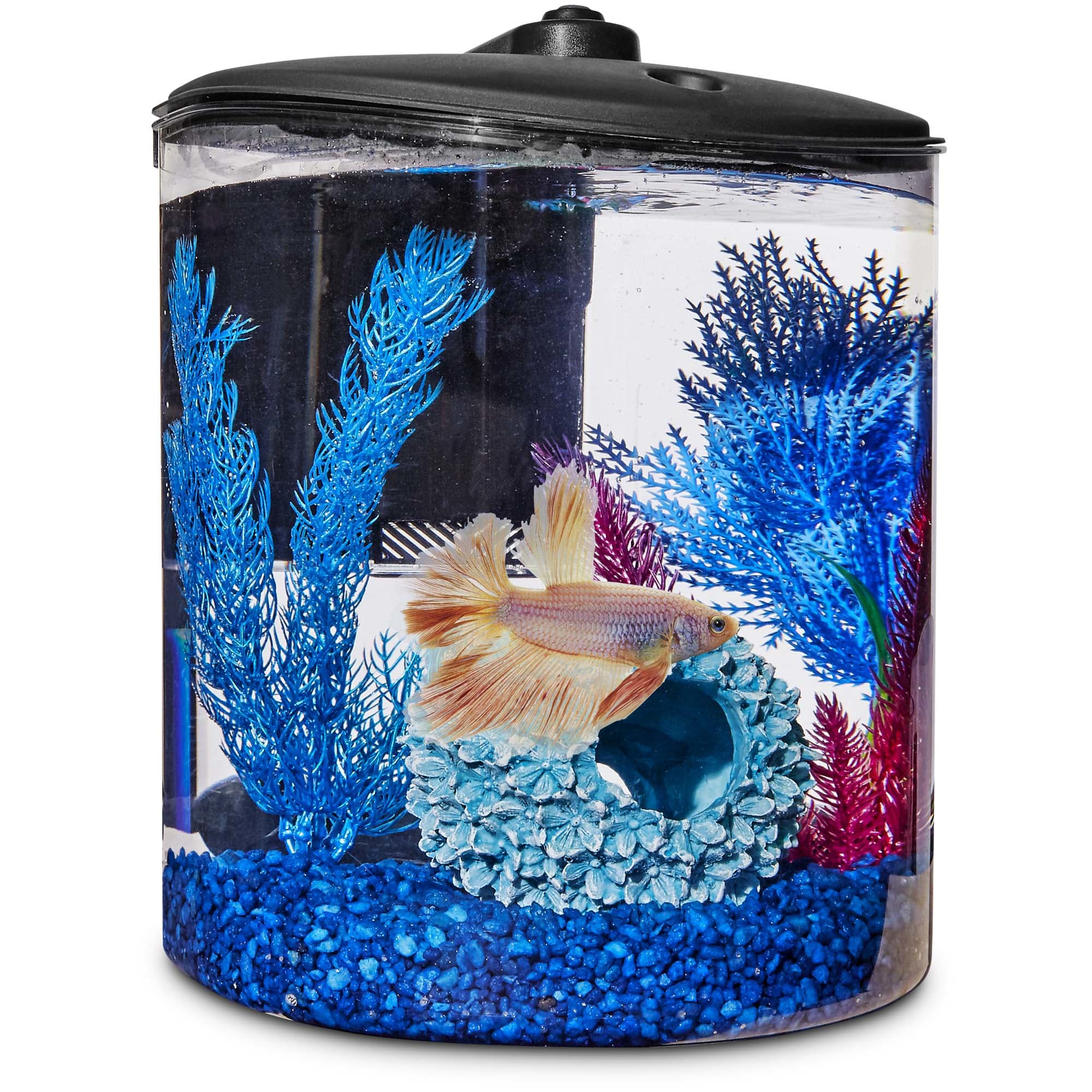 Imagitarium Cylindrical Betta Fish 