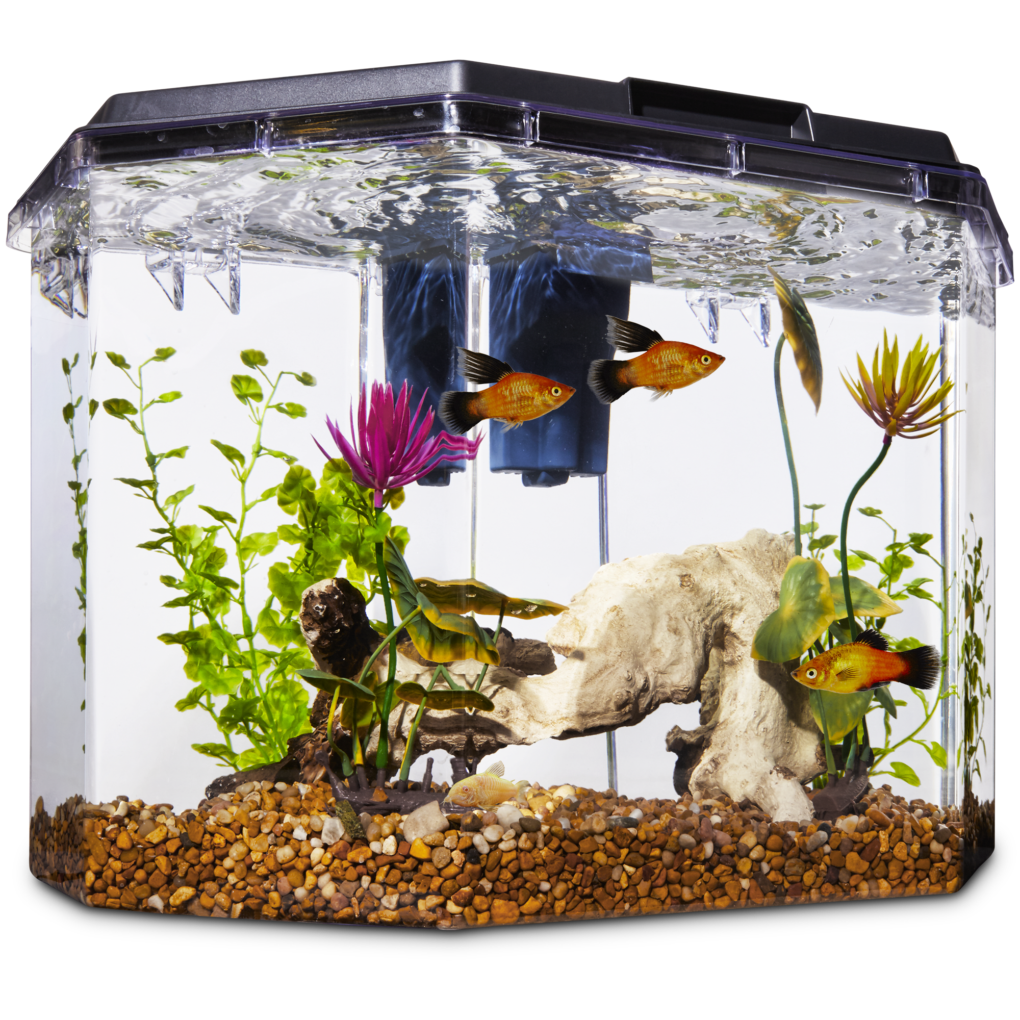 Aqueon Edgelit Cube Glass Aquarium Gallon Ubicaciondepersonas Cdmx   2771837 Center 1