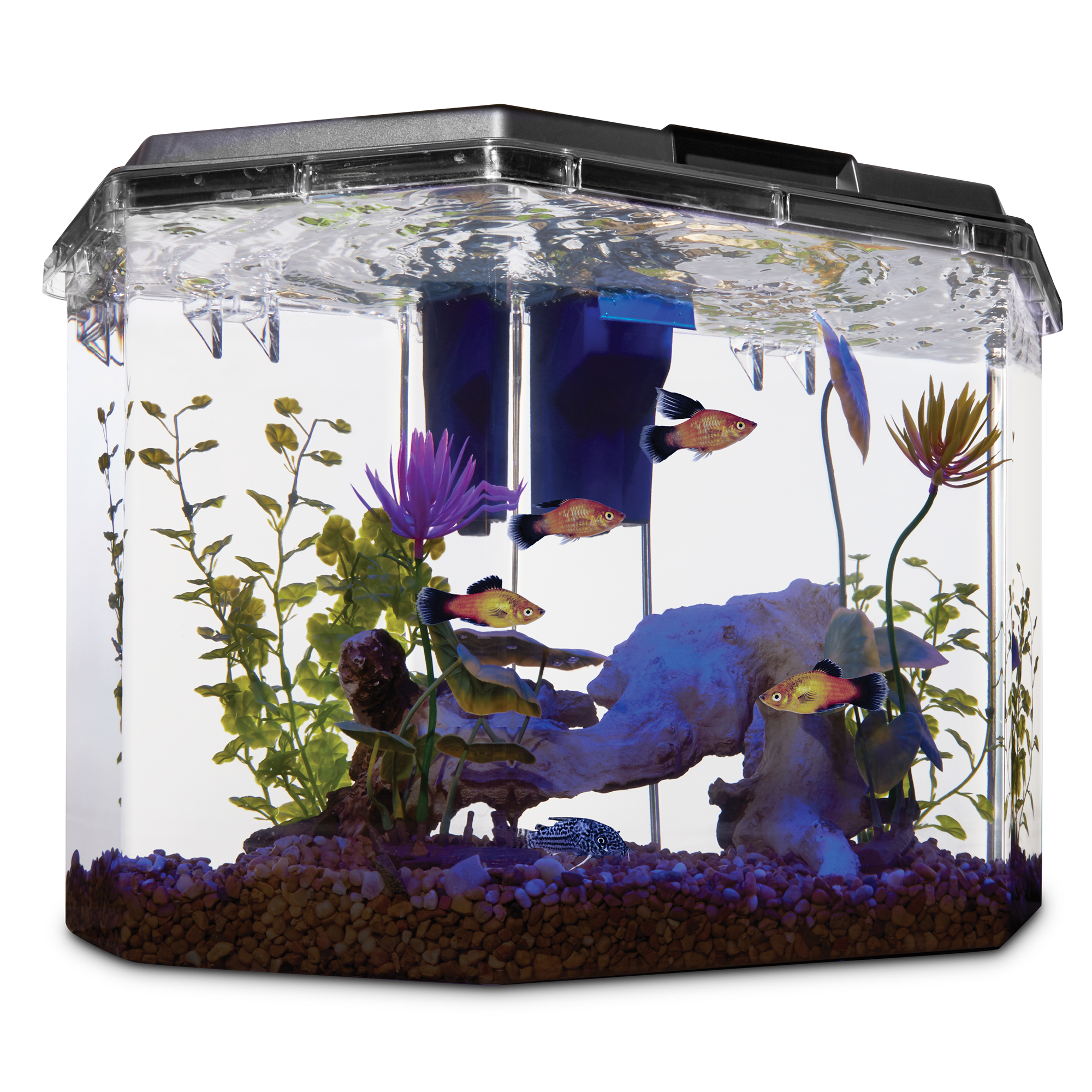 Imagitarium Semi-Hexagonal Aquarium Kit, 6.7 GAL