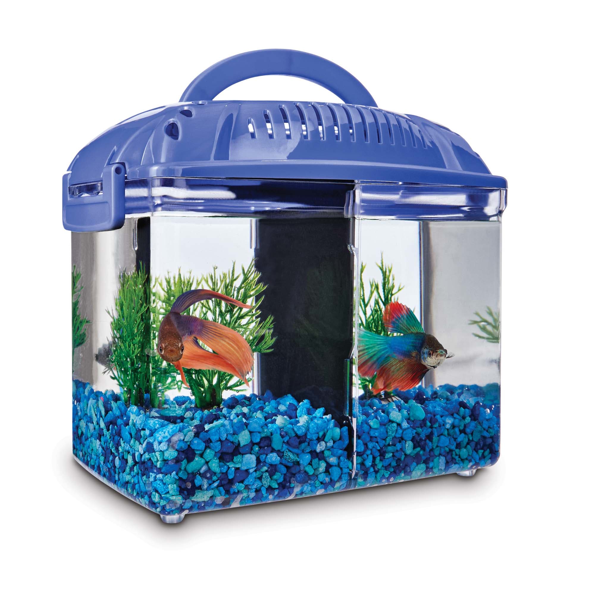 Imagitarium Betta Fish Dual Habitat Tank In Blue 0 8 Gal Petco