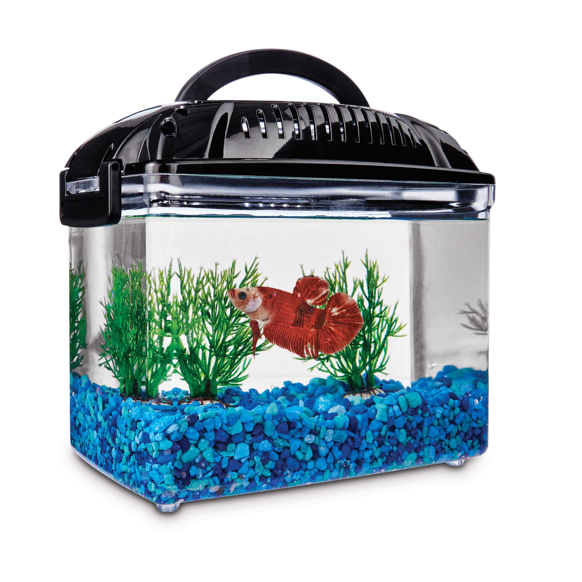 Imagitarium Betta Fish Dual Habitat Tank in Black, 0.8 gal