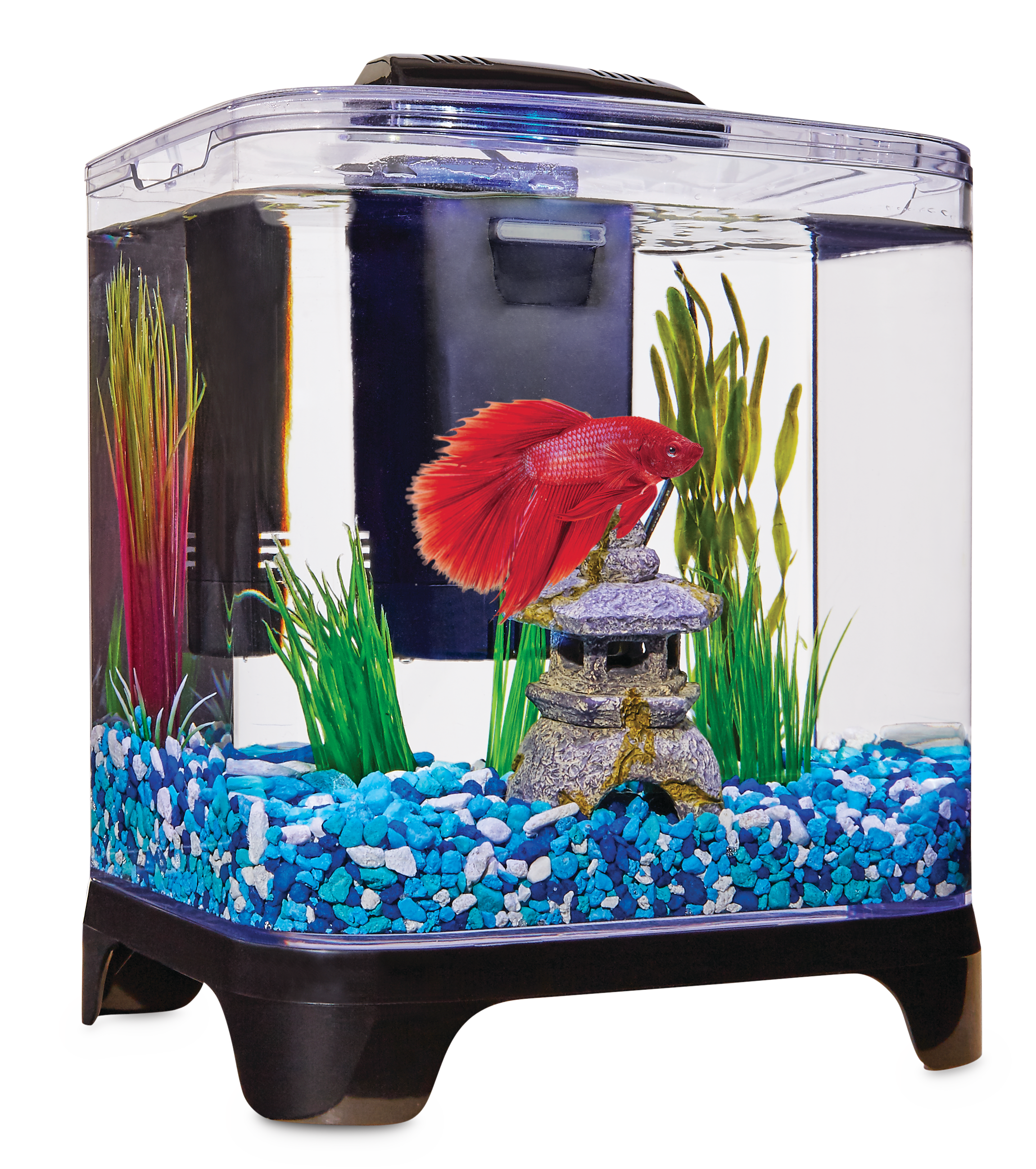 Can You Cover A Betta Fish Tank
