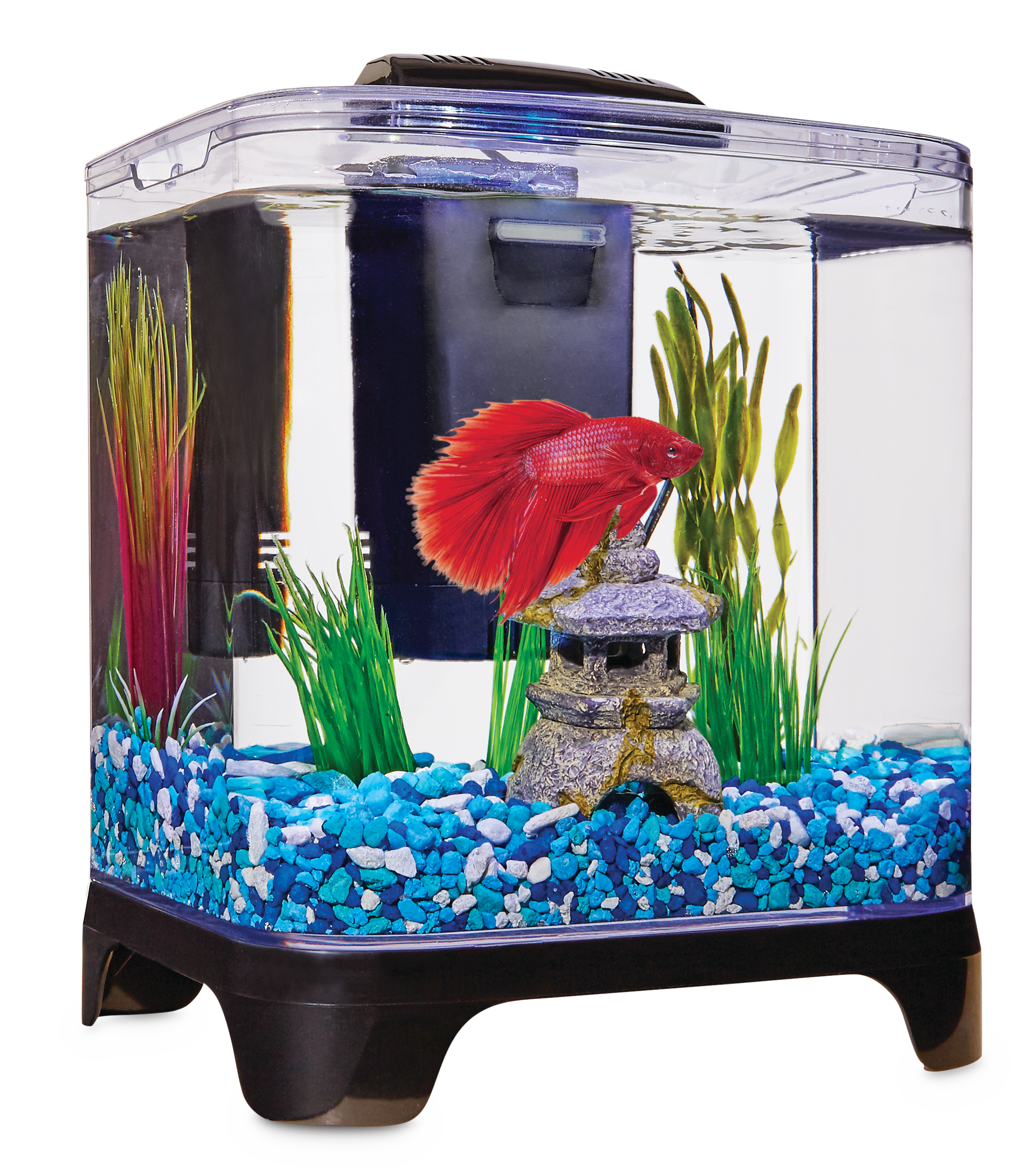 Betta Fish Filter : Amazon Com Penn Plax Betta Fish Tank Aquarium Kit