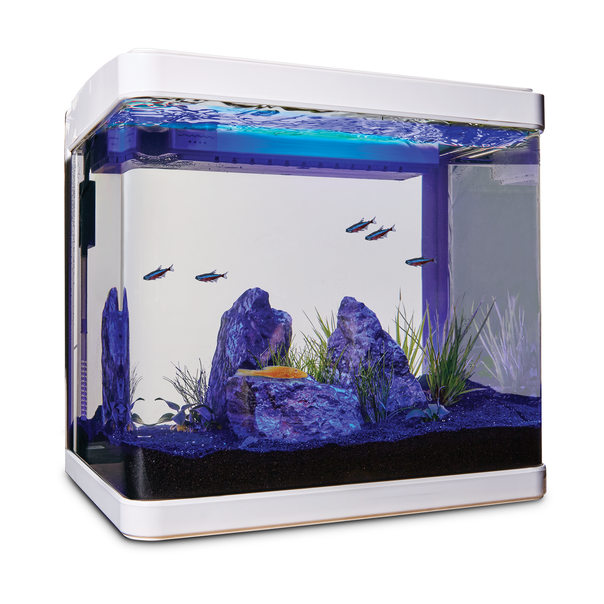 Imagitarium Freshwater Cube Aquarium 