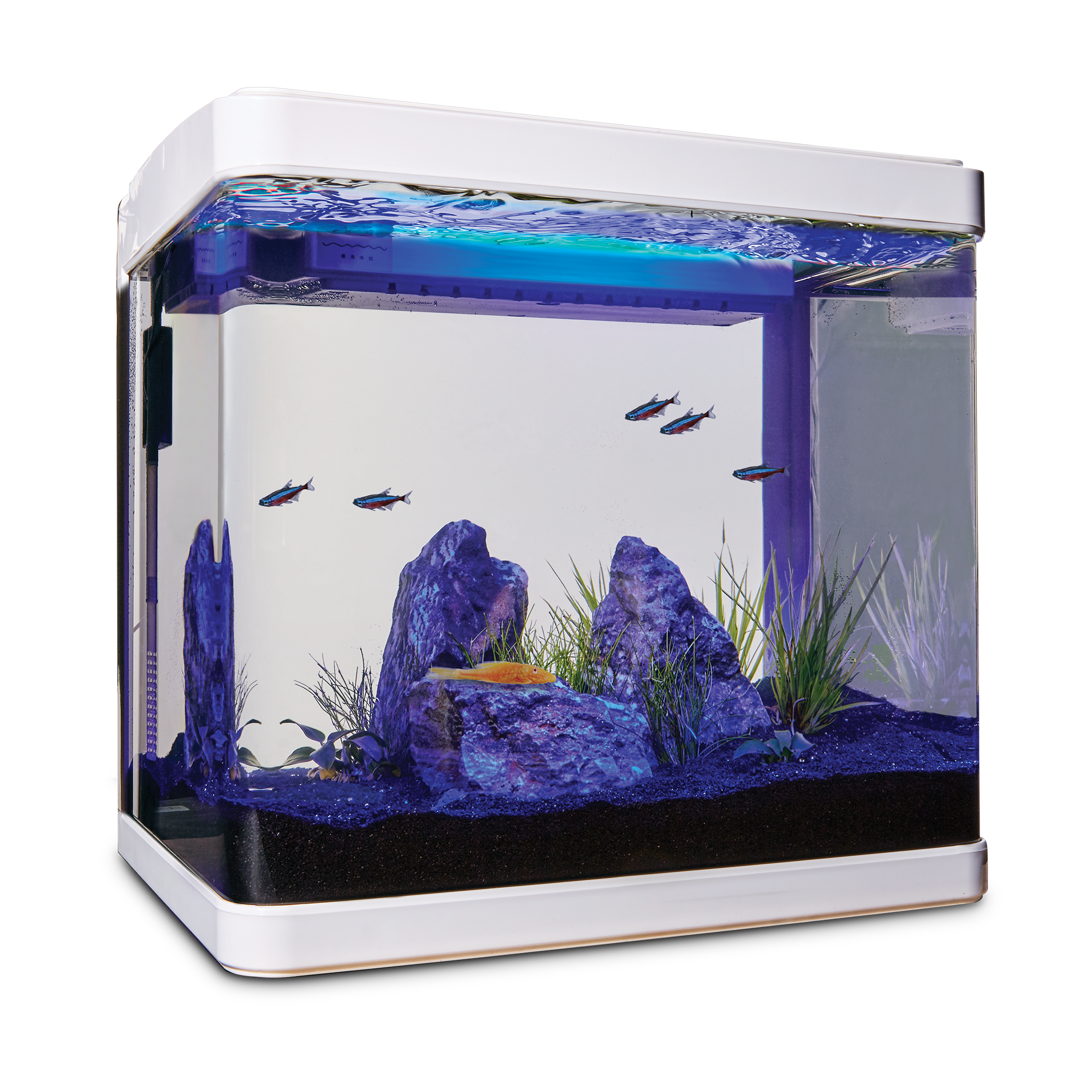 petco fish filter