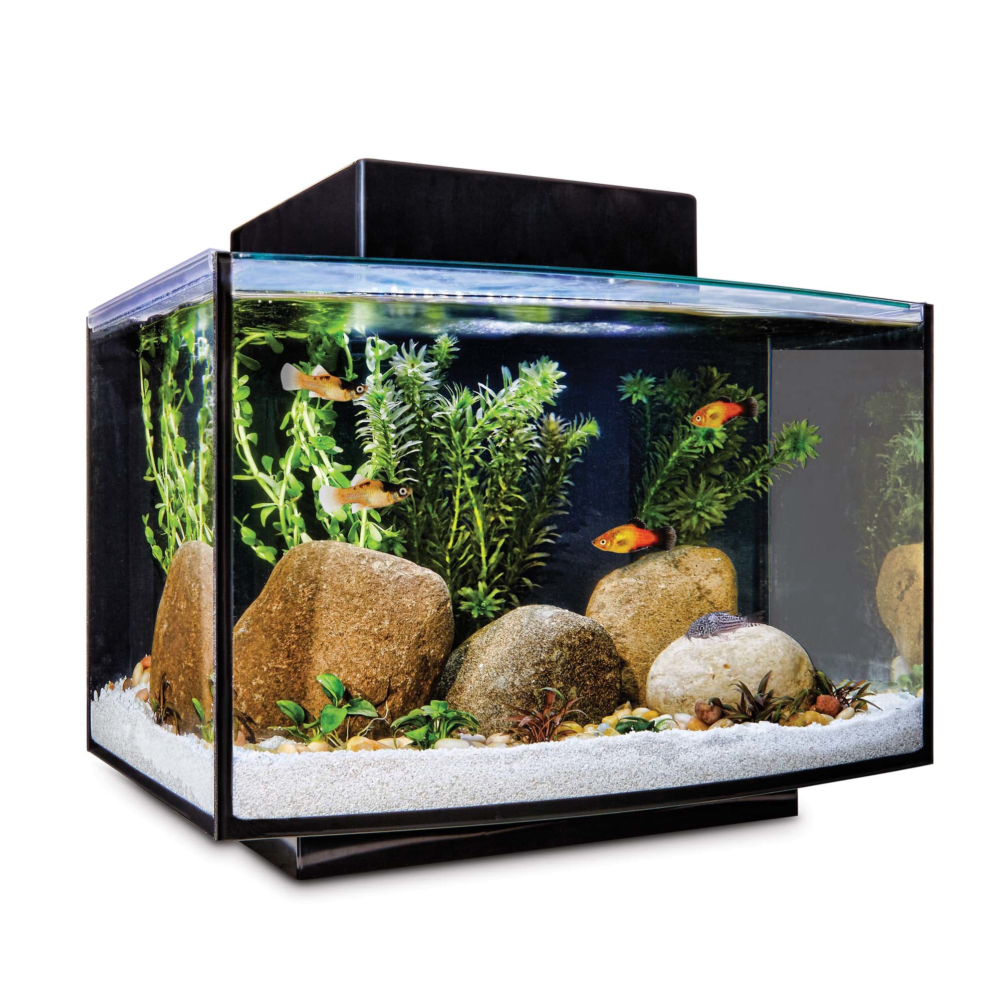 overhead Je zal beter worden bijnaam Imagitarium Platform Freshwater Aquarium Kit, 6.6 GAL | Petco