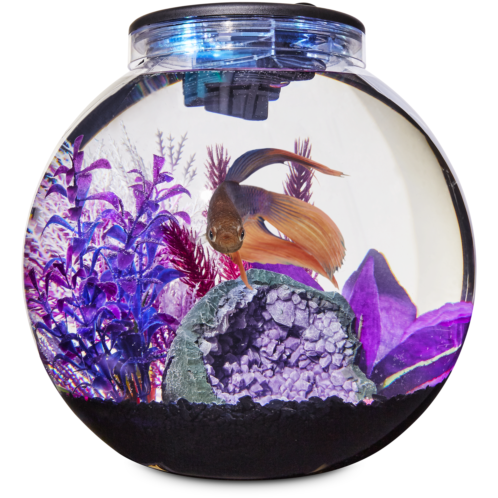 Fish Supplies: Fish Tanks, Aquariums, Bowls, Food & More