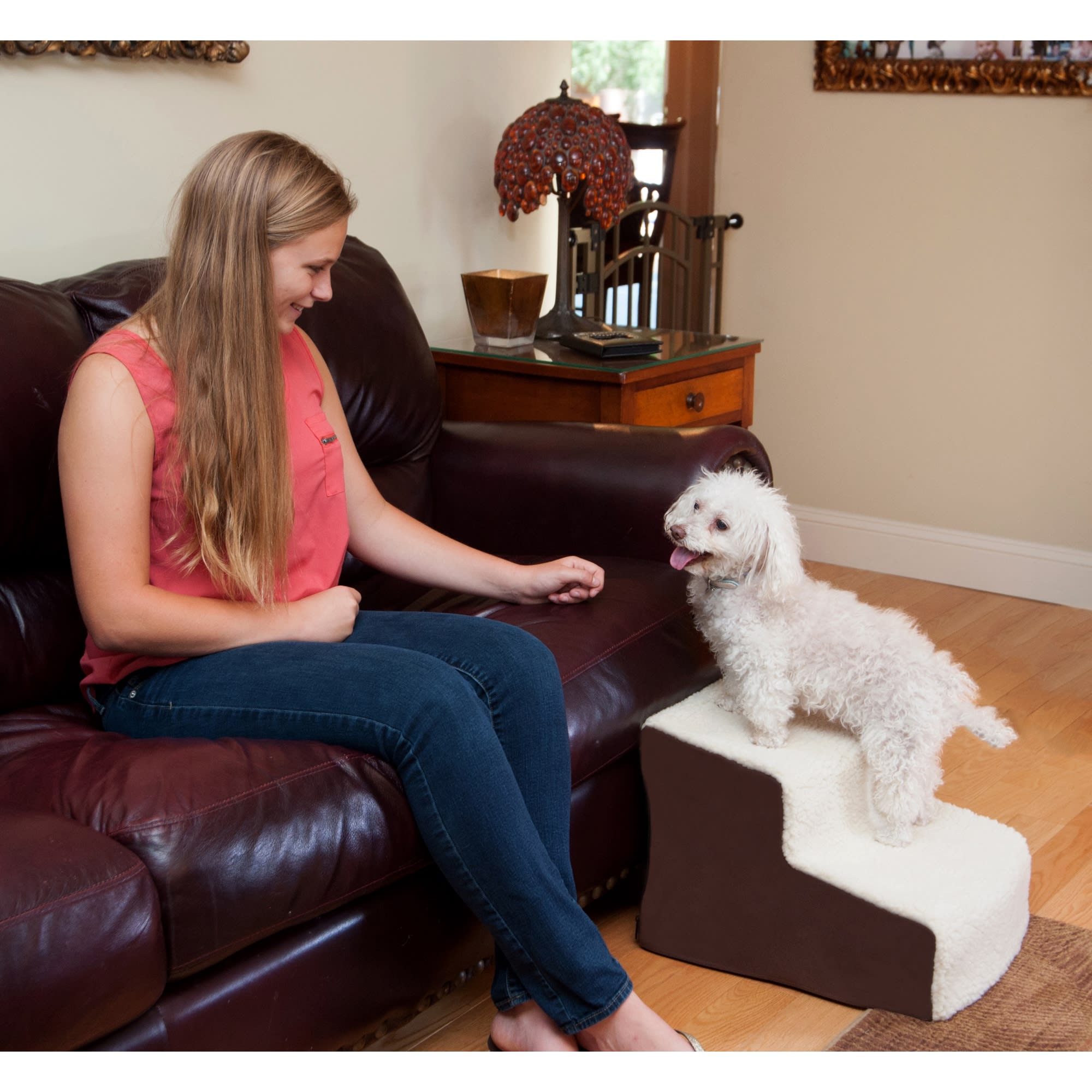 Petco store pet steps