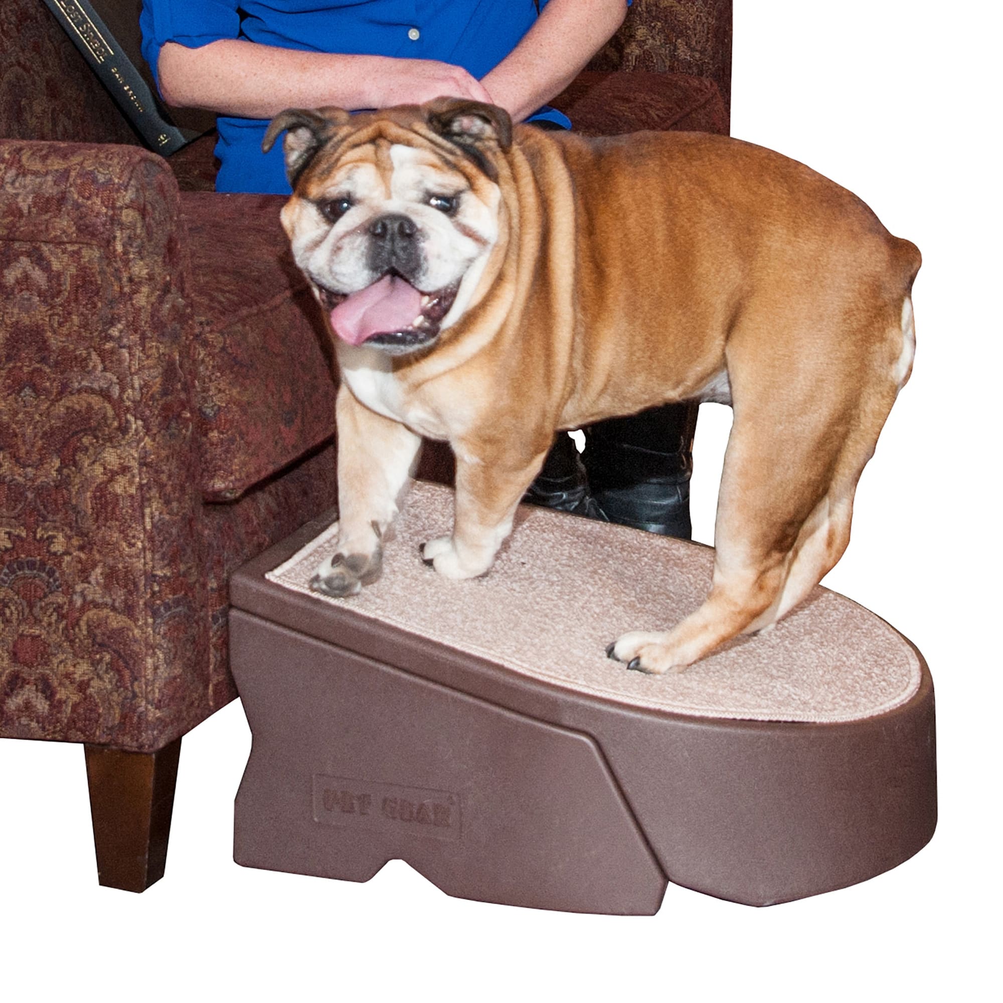 Pet Gear Easy Step I in Chocolate