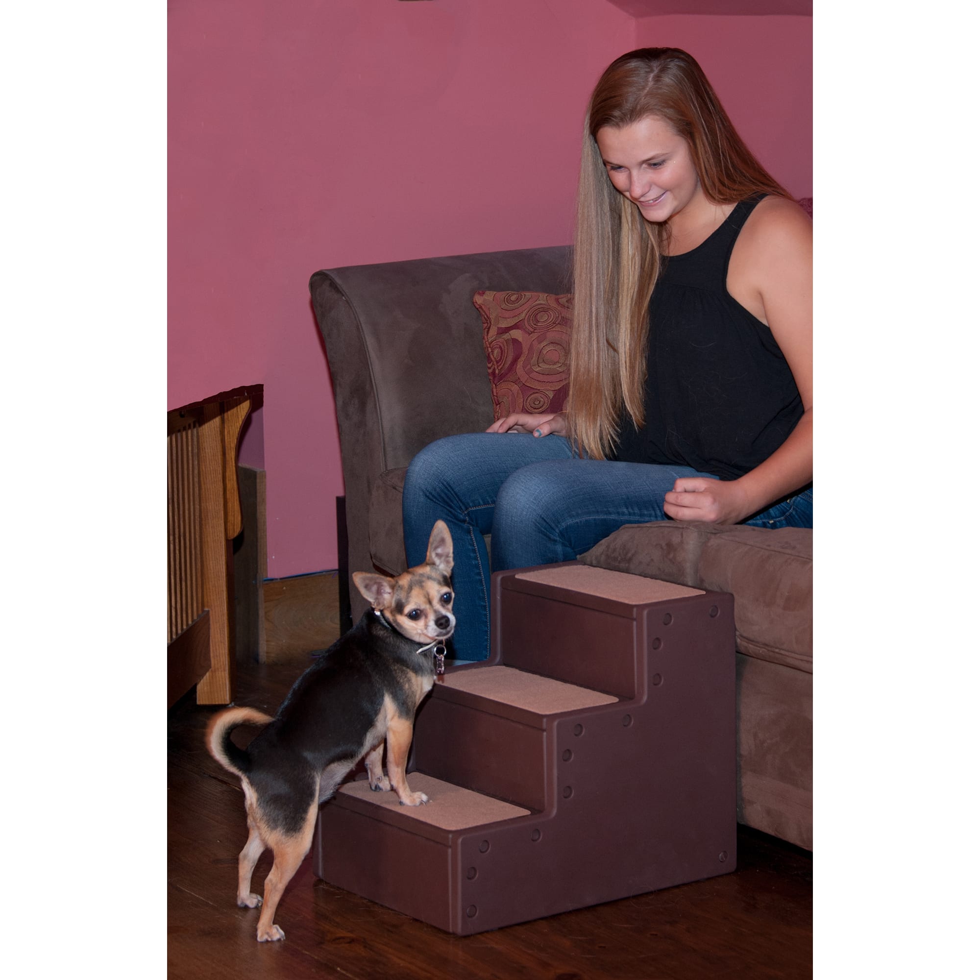 Pet Gear Pet Step III in Chocolate | Petco