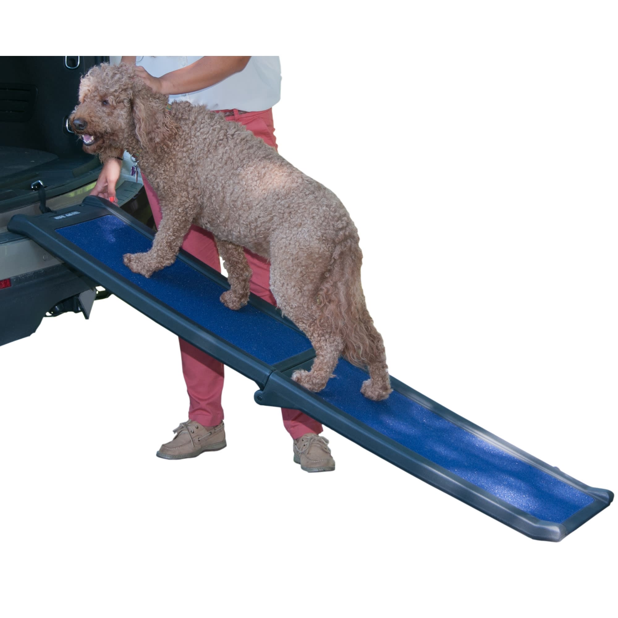 Pet Gear Full Length Bi-Fold Pet Ramp in Black and Blue | Petco