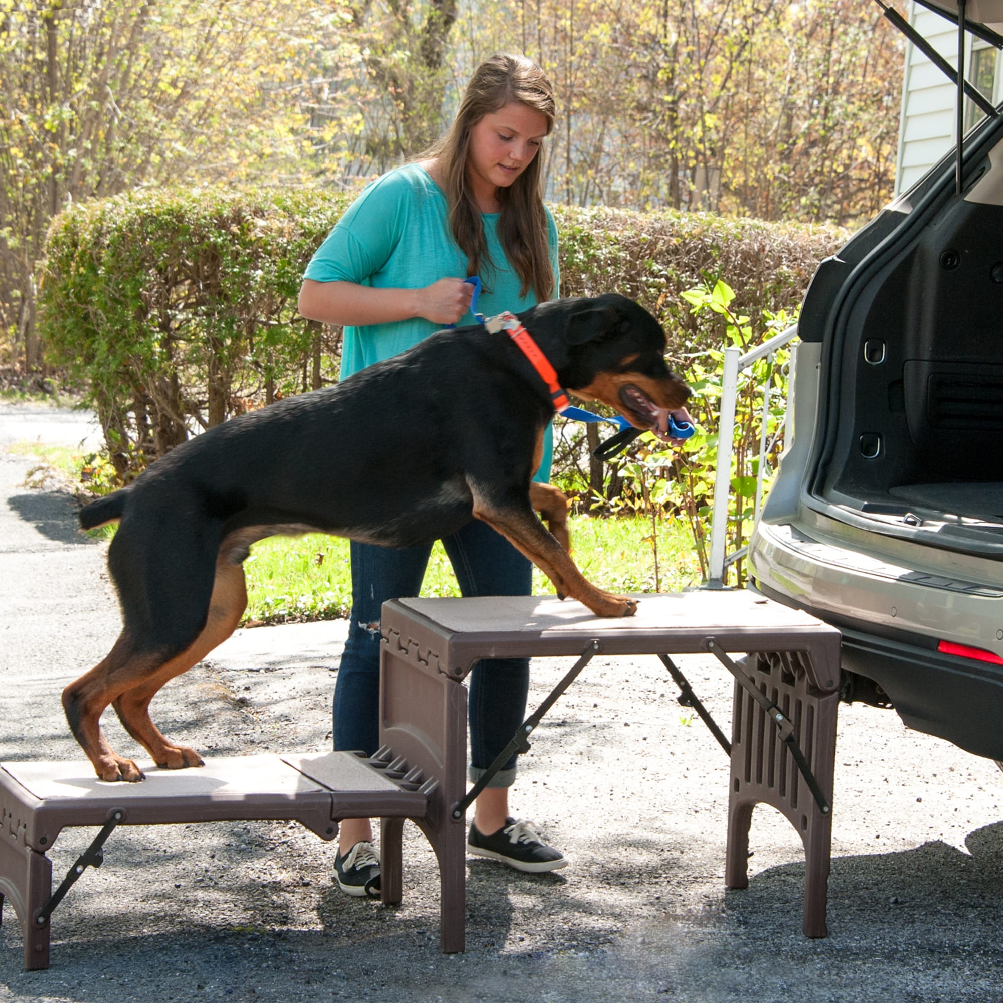 Collapsible best sale pet stairs