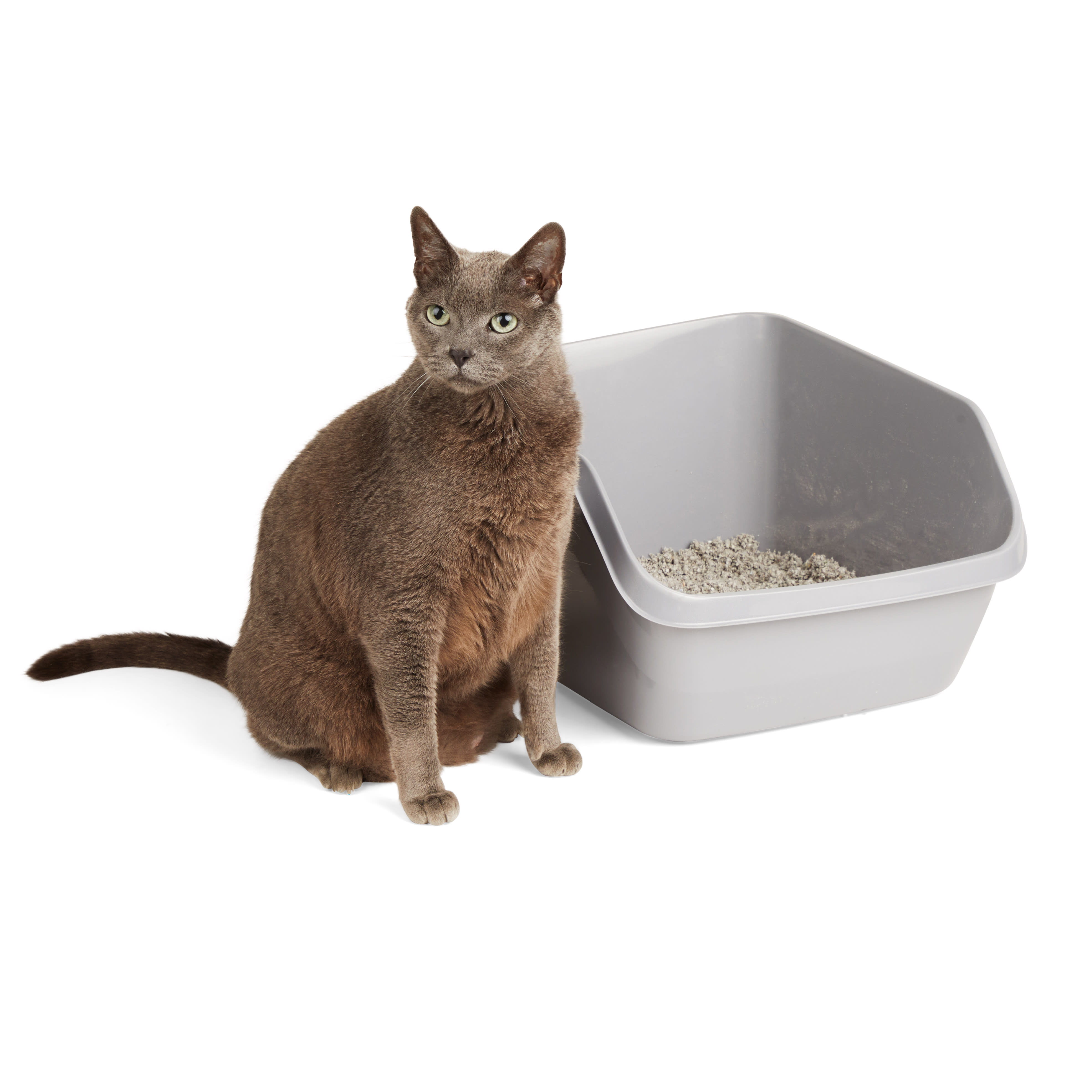 So Phresh Scatter Shield High-Back Litter Box in Gray, 24 L X 18 W X 10  H