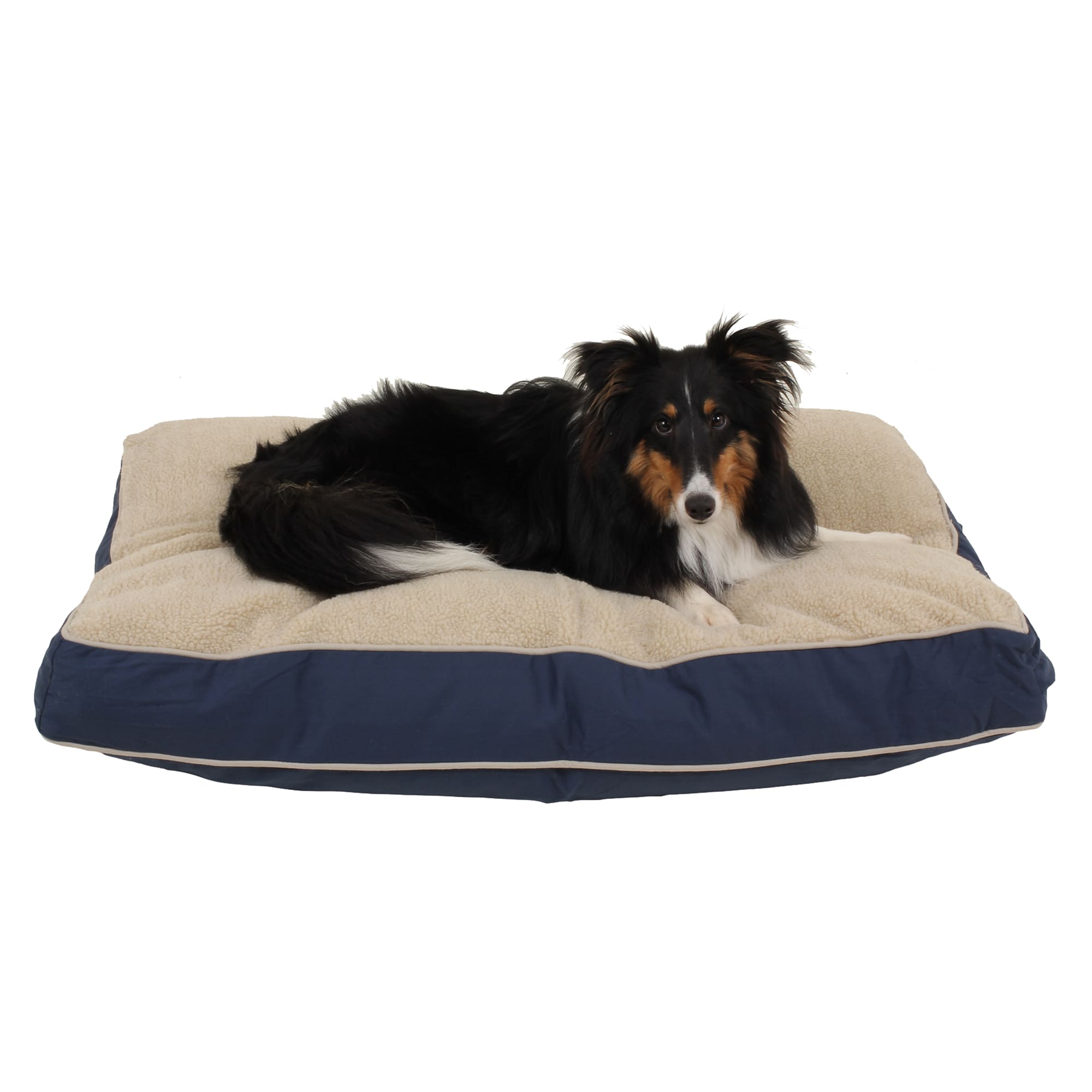 Carolina Pet Company Rectangular Napper with Berber Top in Canvas with Cording, 36 L X 27 W X 4 H, Blue/Khaki, Small