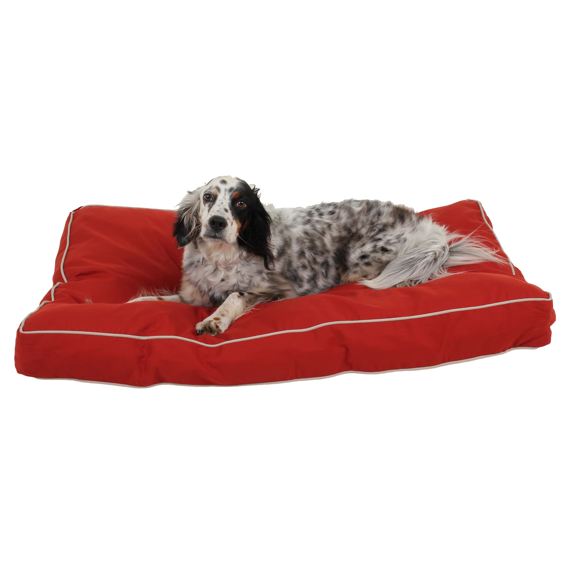 Carolina Pet Company Rectangular Napper in Canvas with Cording, 42 L X 30 W X 4 H, Red/Khaki, Medium