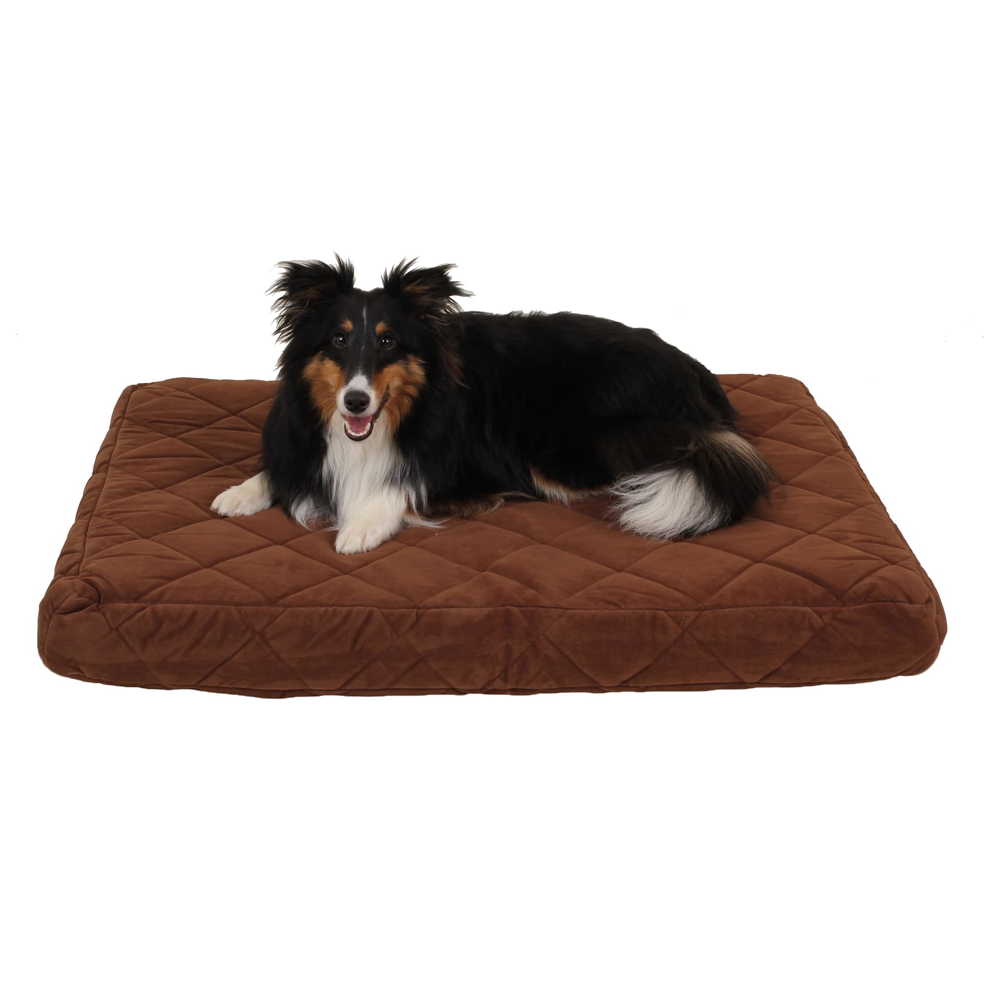2775547 Carolina Pet Company Jamison Quilted Orthopedic Be sku 2775547