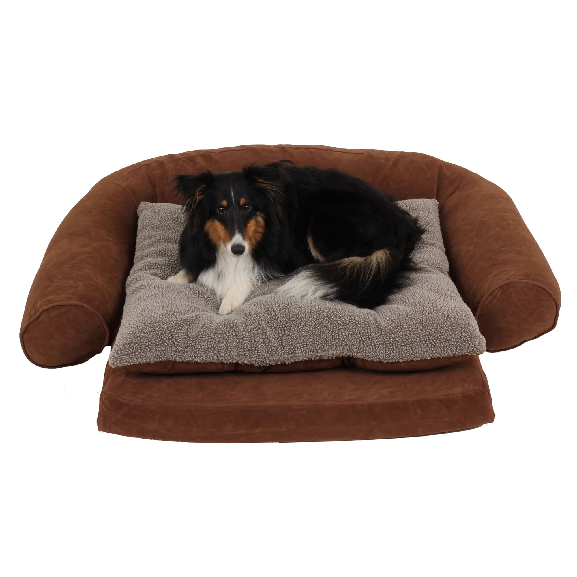 Carolina Pet Company Ortho Sleeper Comfort Couch, 47 L X 32 W X 4 H, Chocolate, Small, Brown