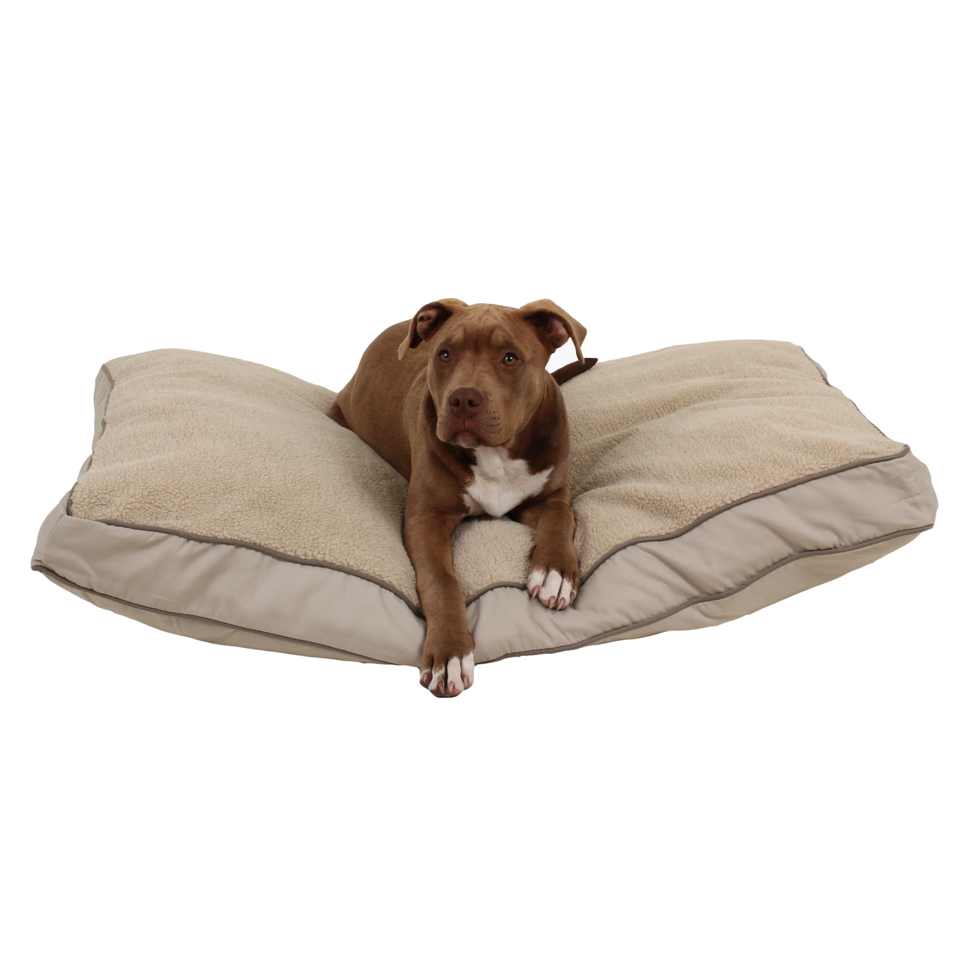 Carolina Pet Company Rectangular Napper with Berber Top in Canvas with Cording, 42 L X 30 W X 4 H, Khaki/Sage, Medium