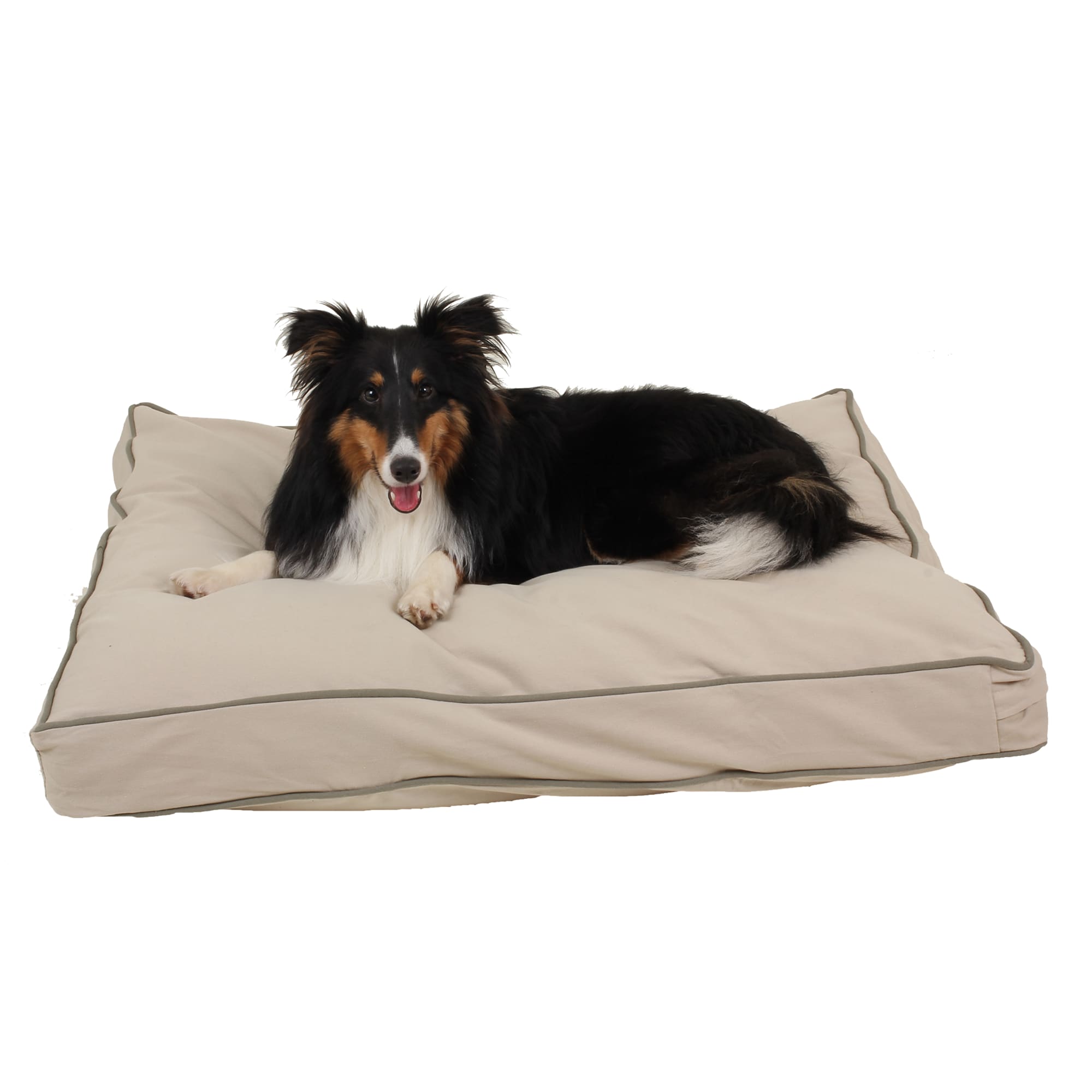 Carolina Pet Company Rectangular Napper in Canvas with Cording, 36 L X 27 W X 4 H, Khaki/Sage, Small