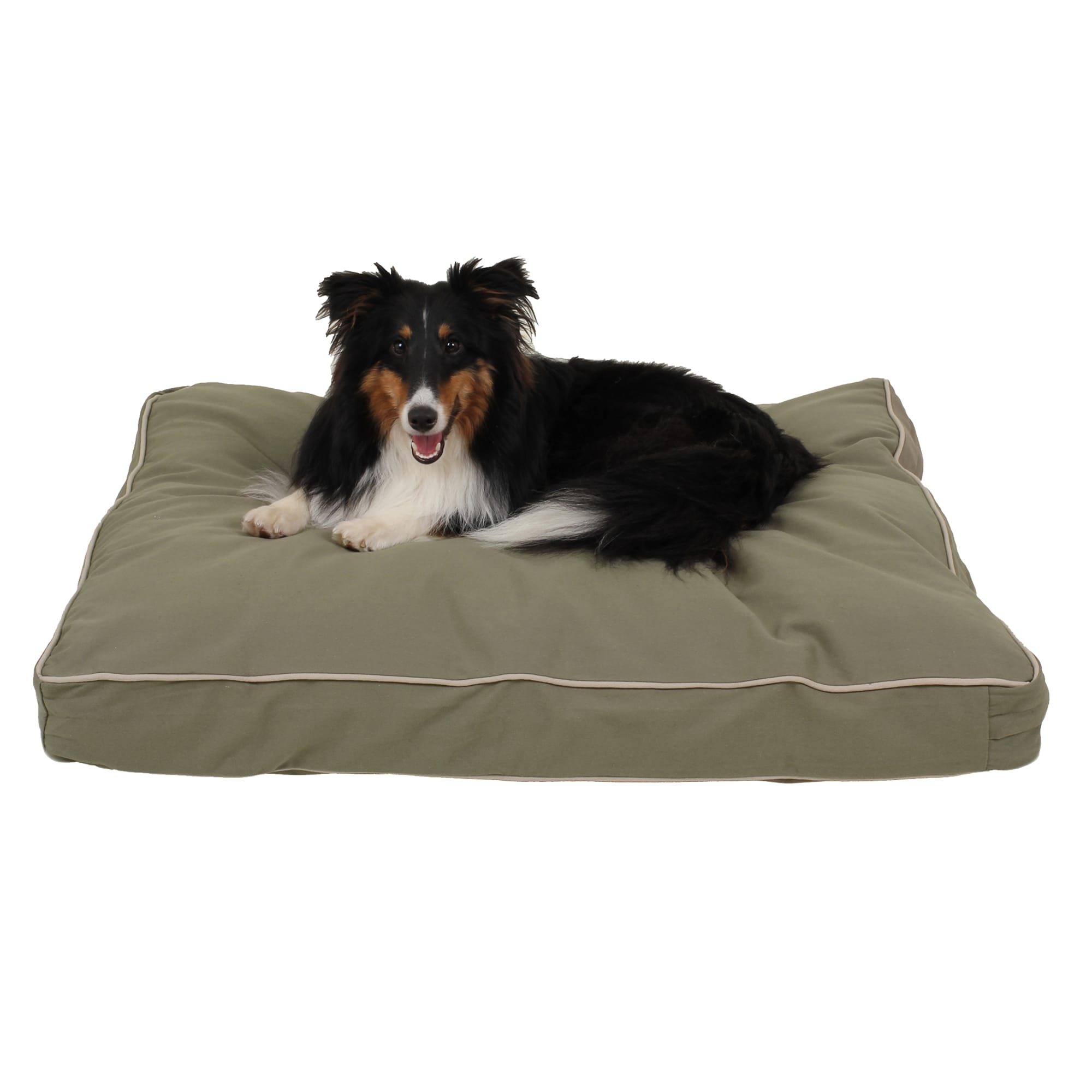 2775707 Carolina Pet Company Rectangular Napper in Canvas  sku 2775707