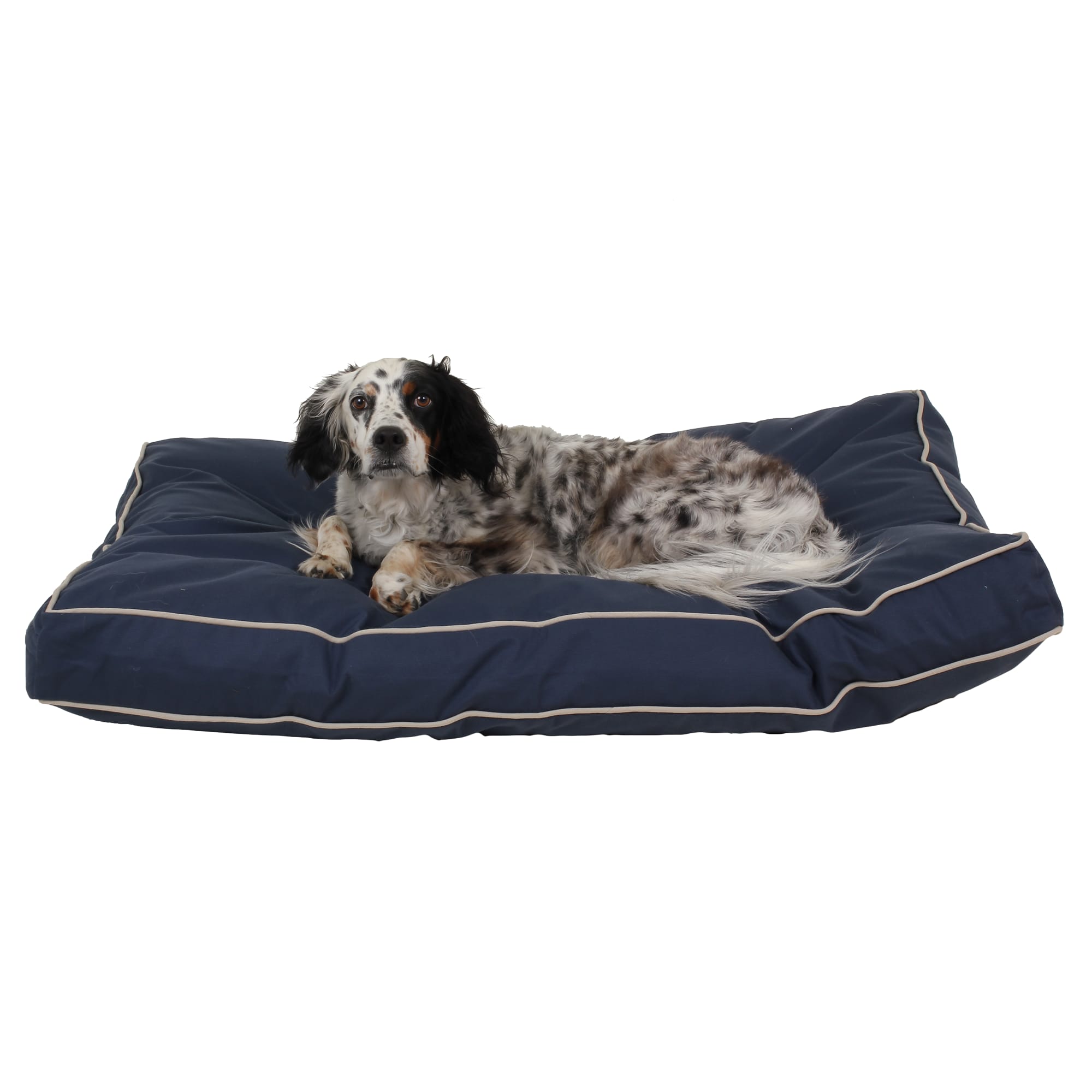 Carolina Pet Company Rectangular Napper in Canvas with Cording, 42 L X 30 W X 4 H, Blue/Khaki, Medium