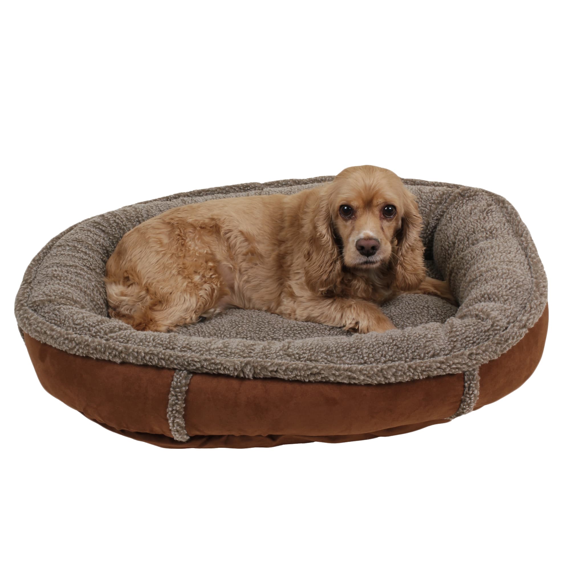 Carolina Pet Company Faux Suede & Sherpa Comfy Cup, 27 L X 24 W X 6 H, Chocolate, Small, Brown