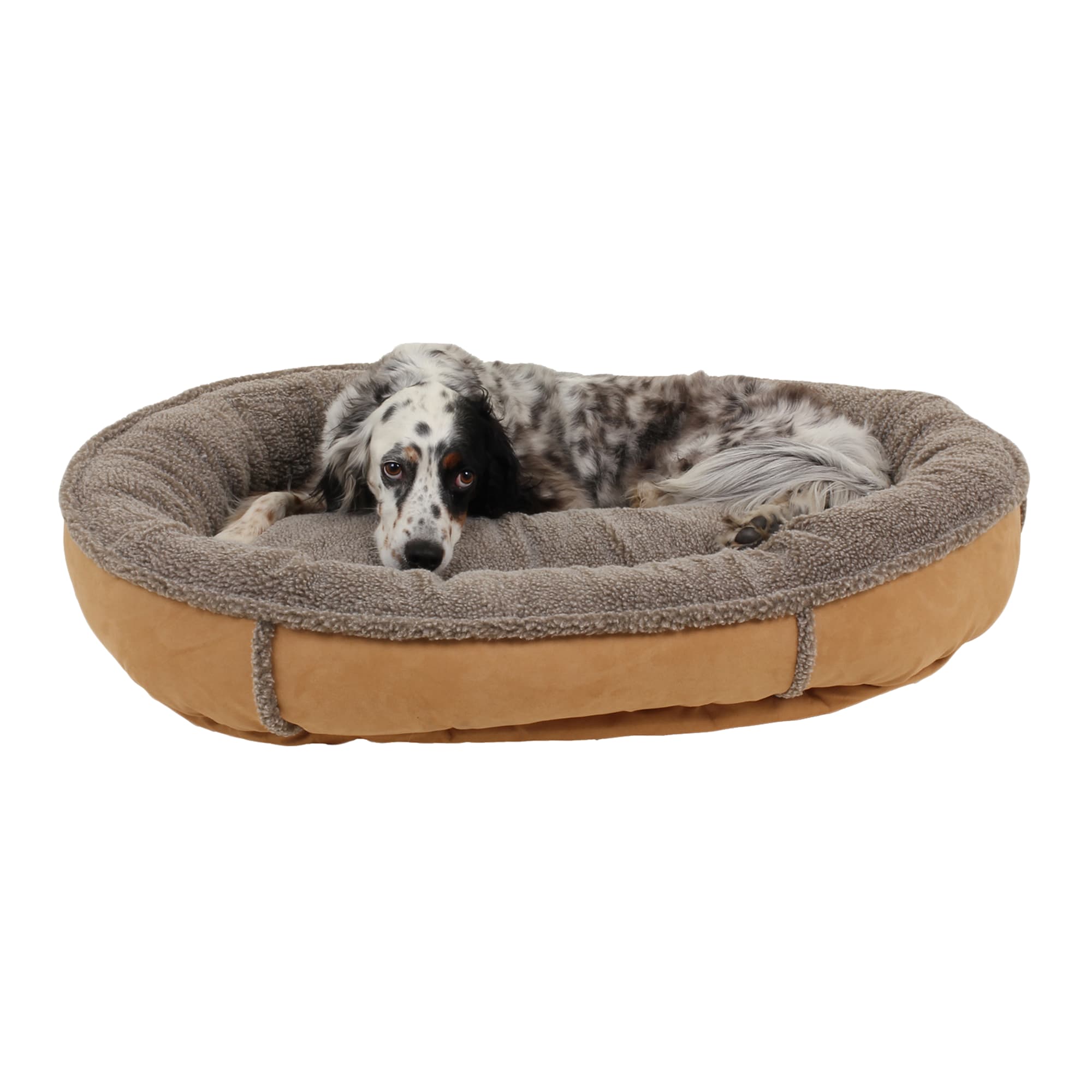 Carolina Pet Company Faux Suede & Sherpa Comfy Cup, 36 L X 32 W X 6 H, Caramel, Medium, Brown