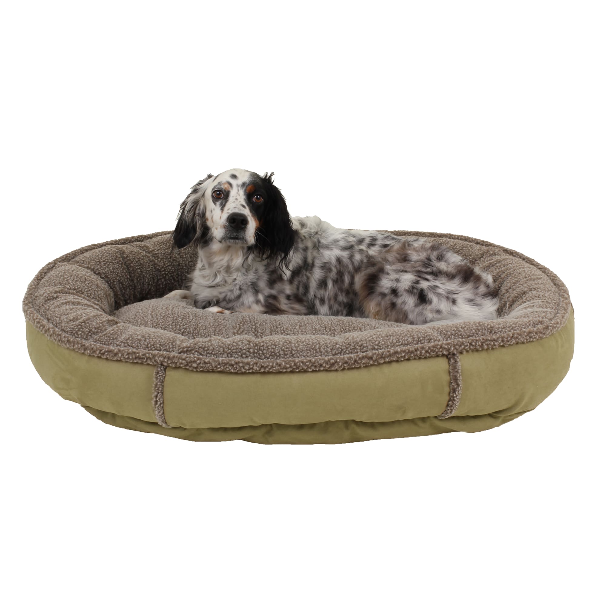 2775934 Carolina Pet Company Faux Suede & Sherpa Comfy Cup sku 2775934