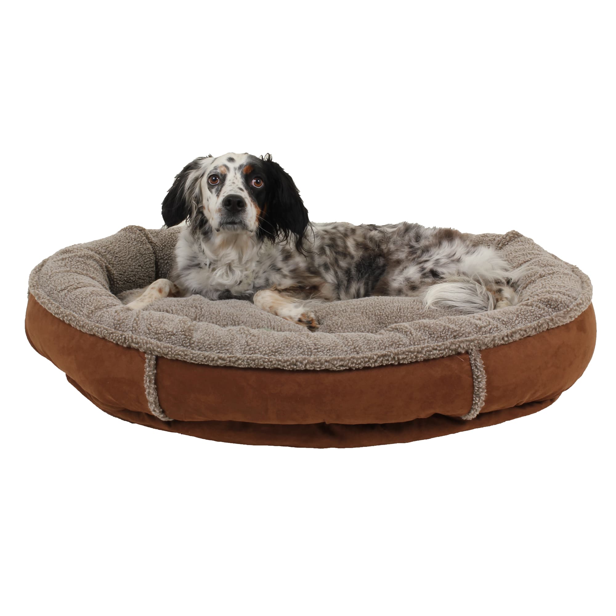 Carolina Pet Company Faux Suede & Sherpa Comfy Cup, 42 L X 36 W X 6 H, Chocolate, Large, Brown