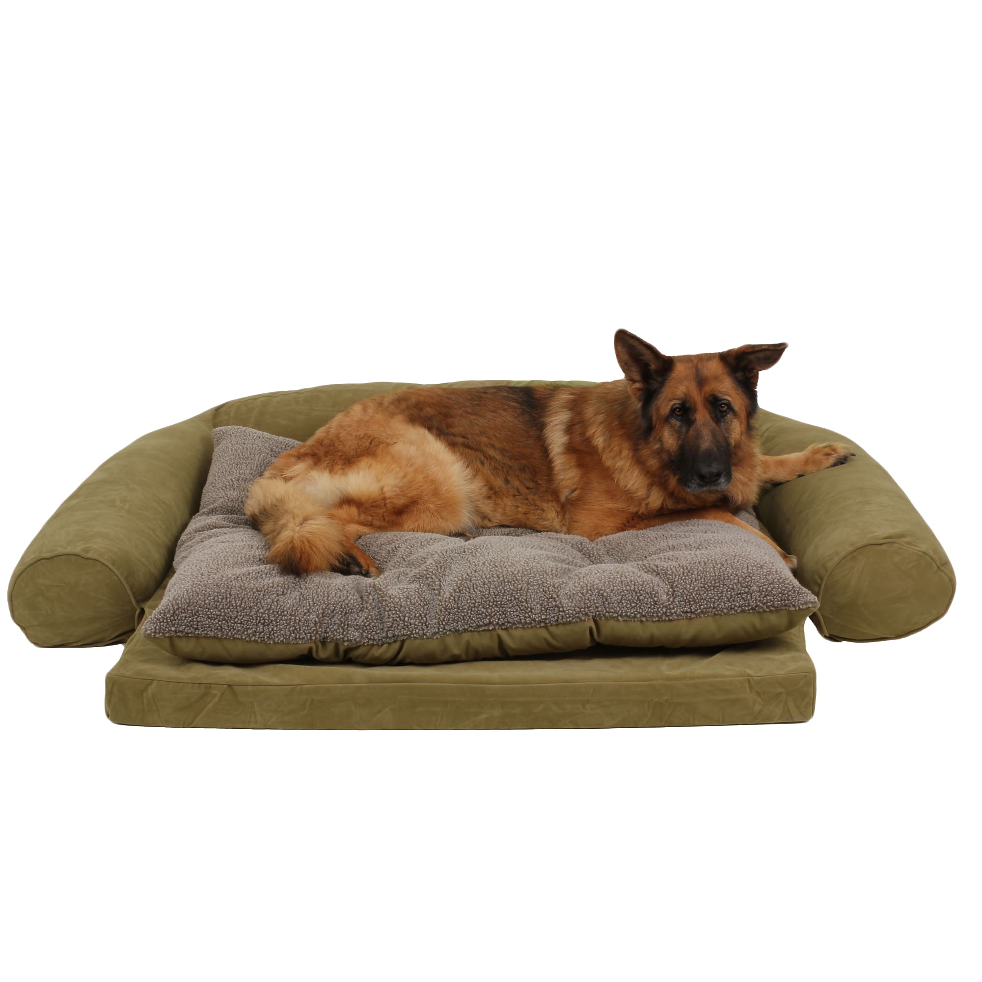 Carolina Pet Company Ortho Sleeper Comfort Couch, 69 L X 48 W X 4 H, Sage, Large, Green