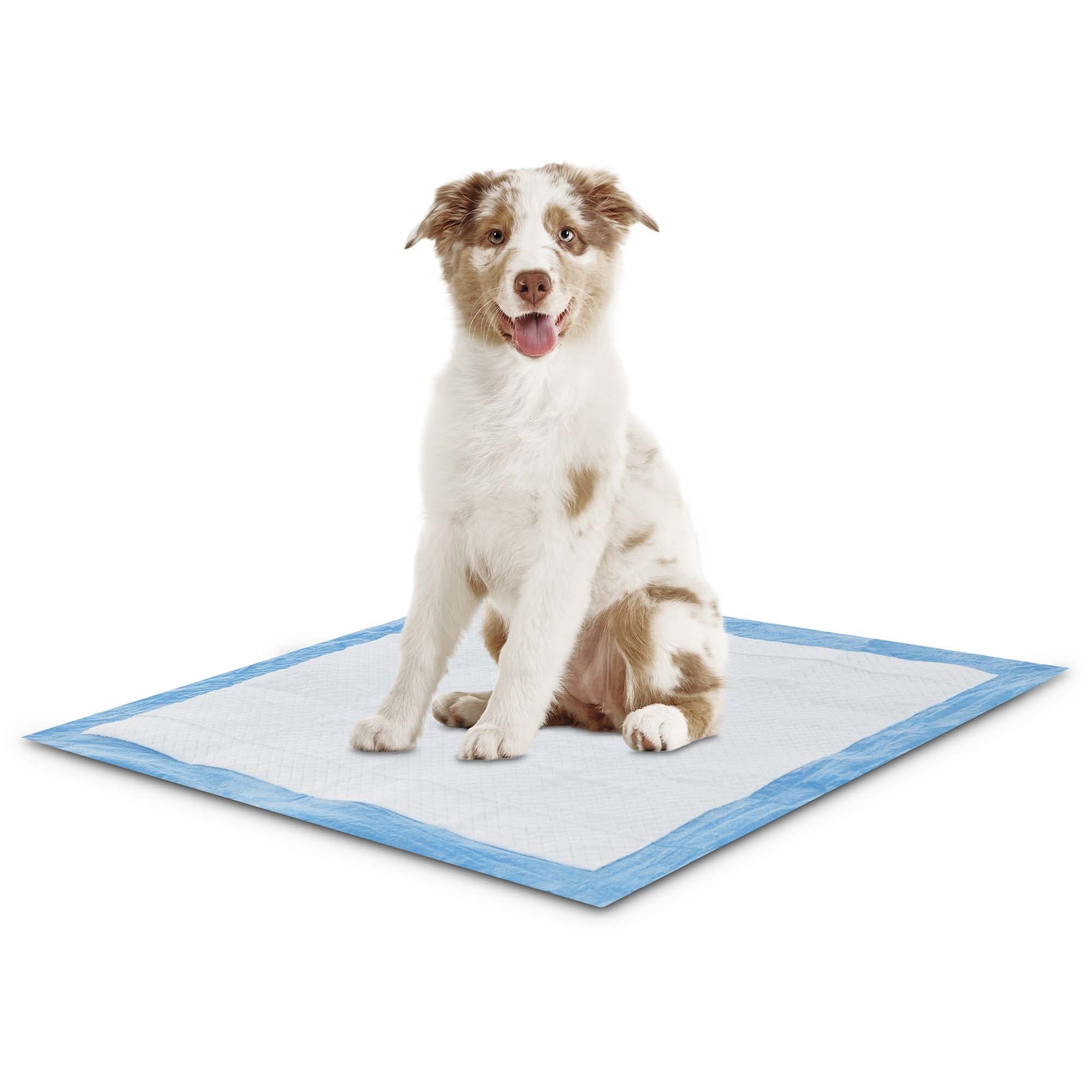 dog toilet mat