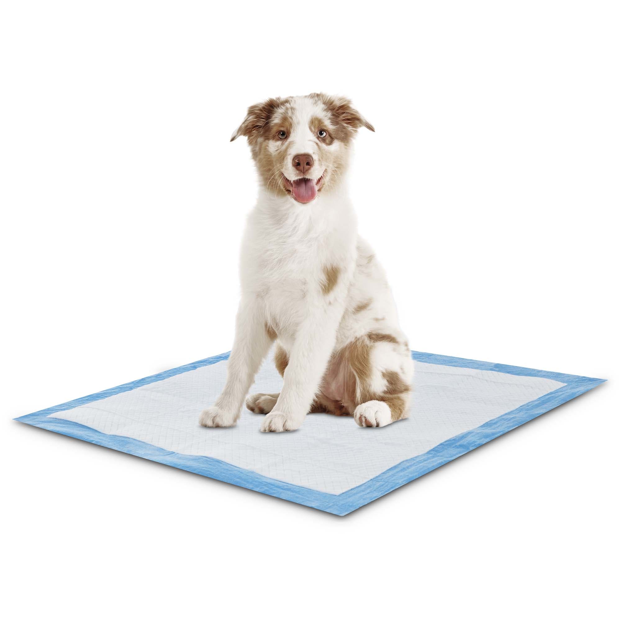 Animaze Absorbent Dog Potty Pads Count Of 150 Petco