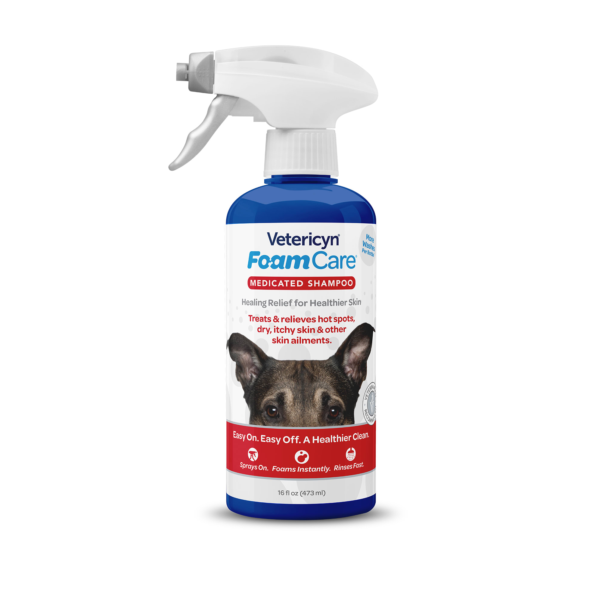 hot spot shampoo for dogs