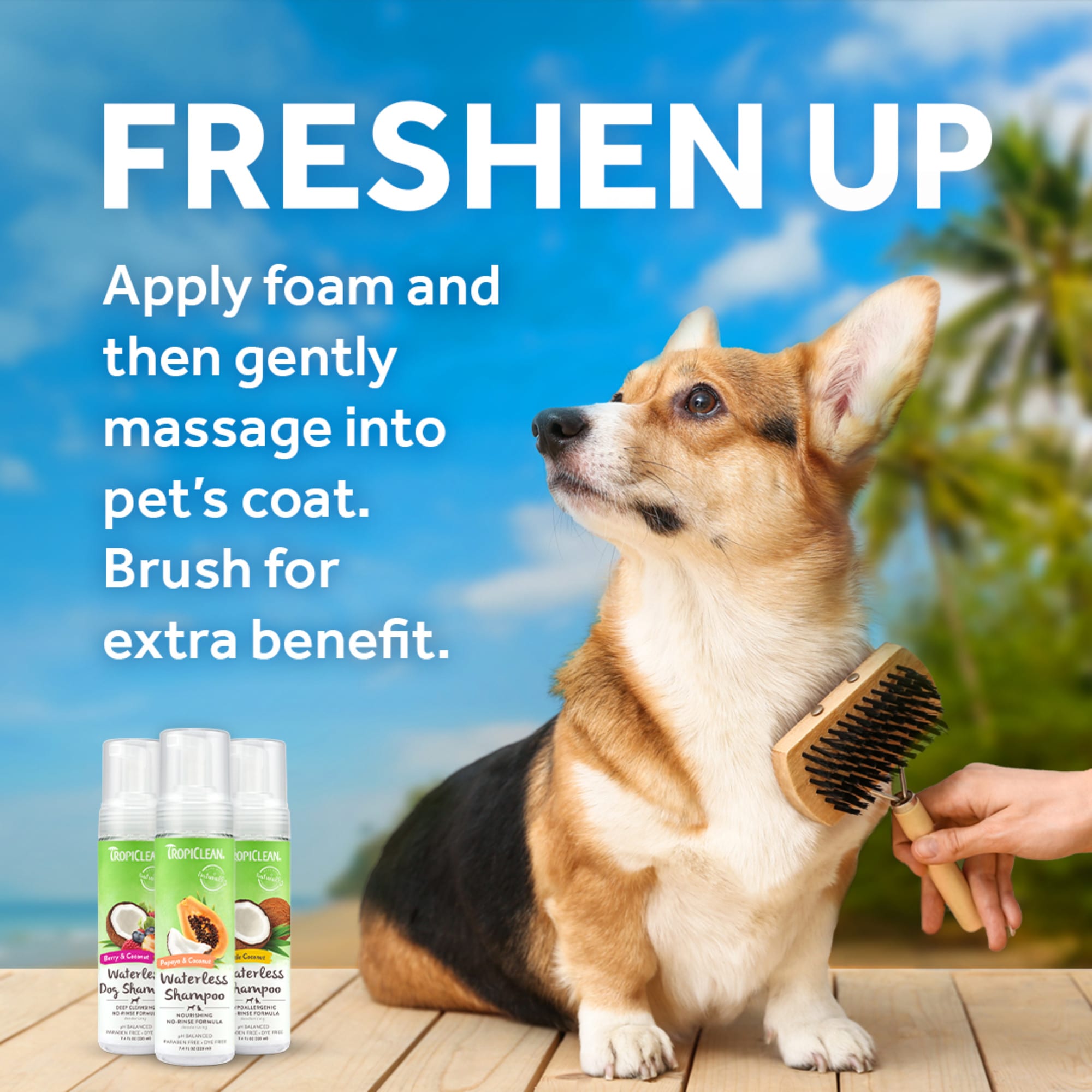 Waterless dog shop shampoo petco