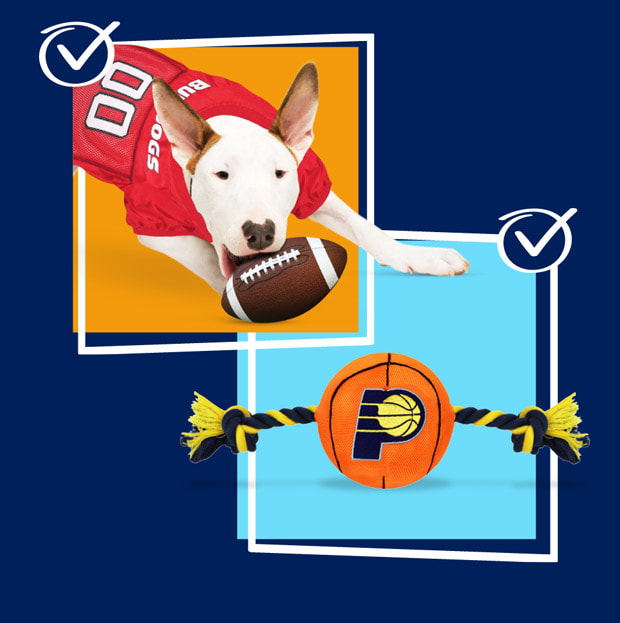 Your dog can get ready for the big game with the help of Petco