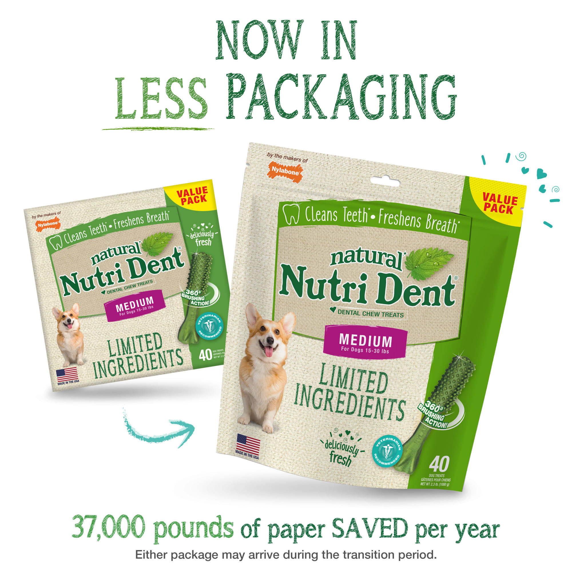 Nylabone Nutri Dent Medium Fresh Breath Dental Chews, 2.3 lbs., 40