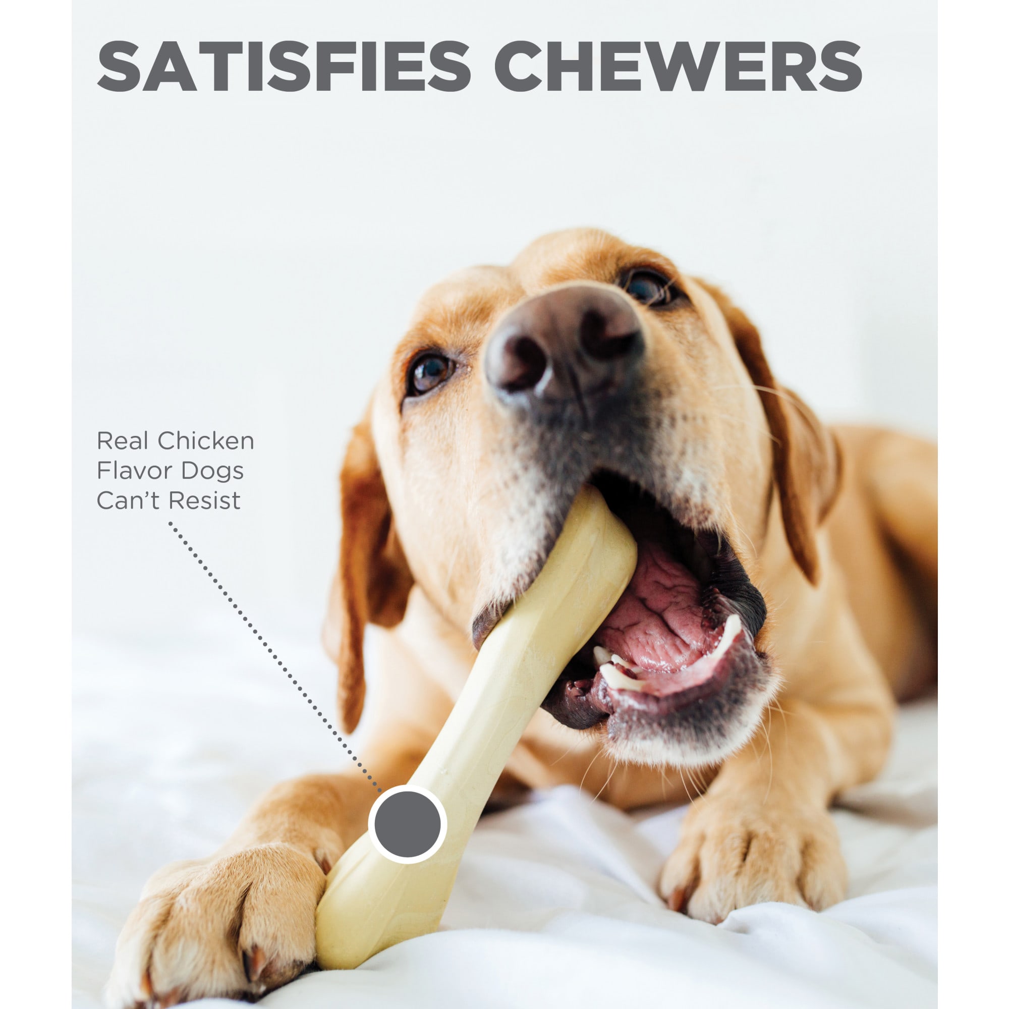 Petstages Chick-A-Bone Dog Toy, Small | Petco