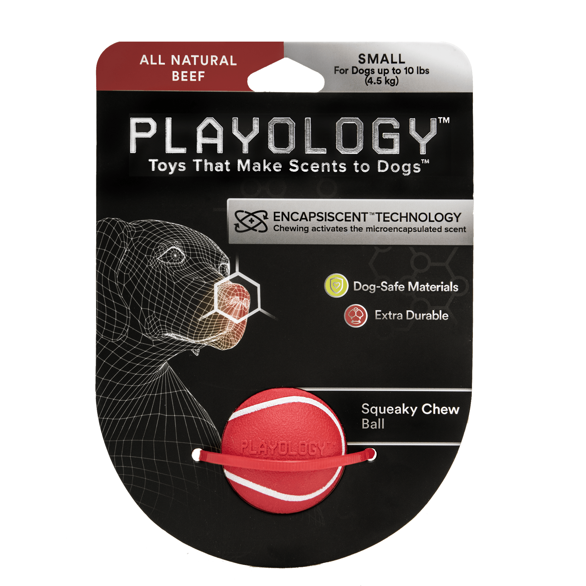 Playology Squeaky Chew Ball Dog Toy 