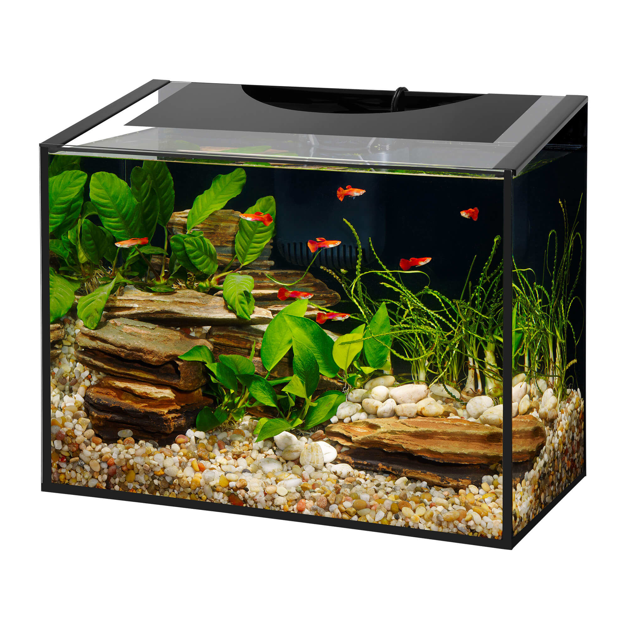 Walnut Color 10-Gallon Aquarium Kit for Marine Fresh Water - China