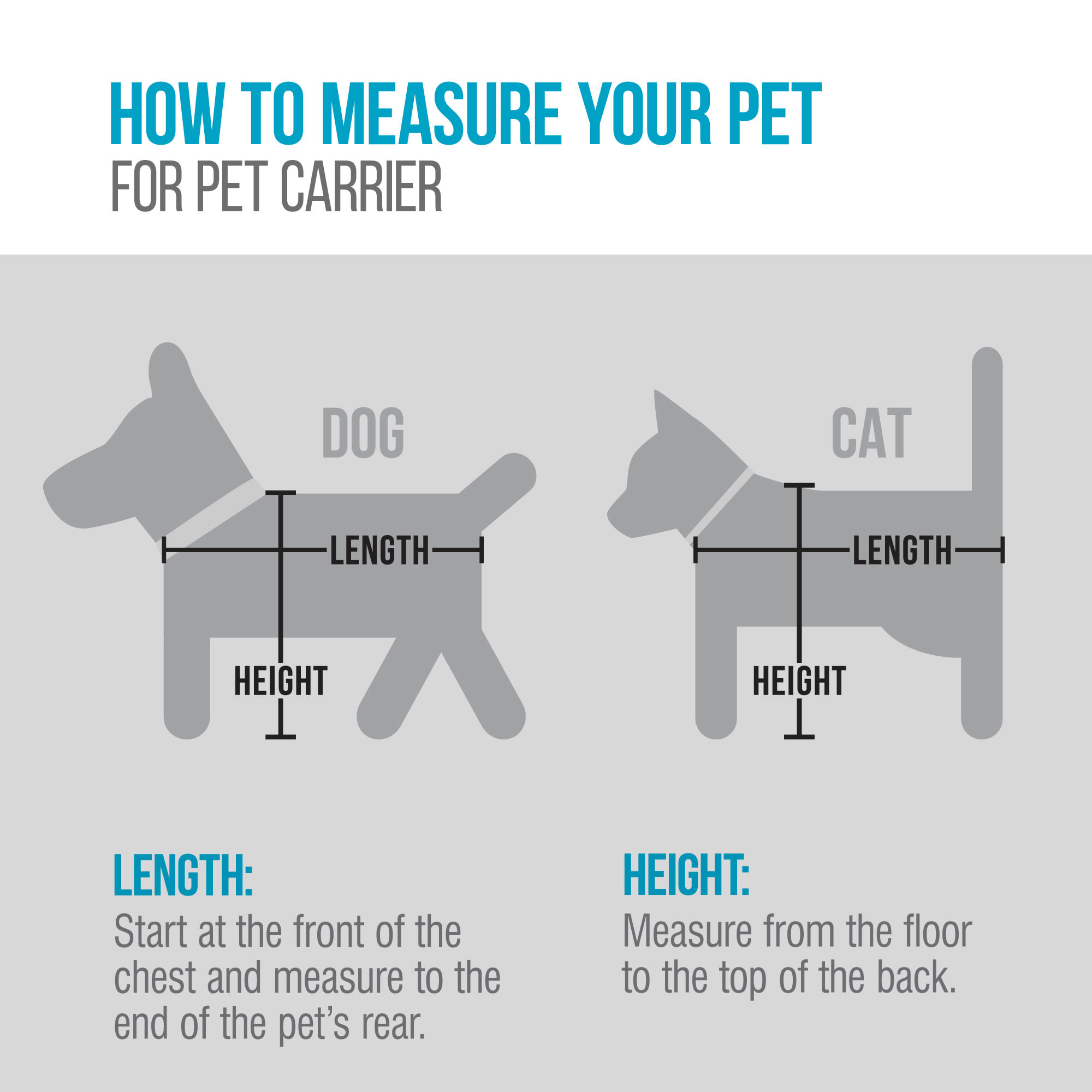 Jetblue pet carrier size best sale