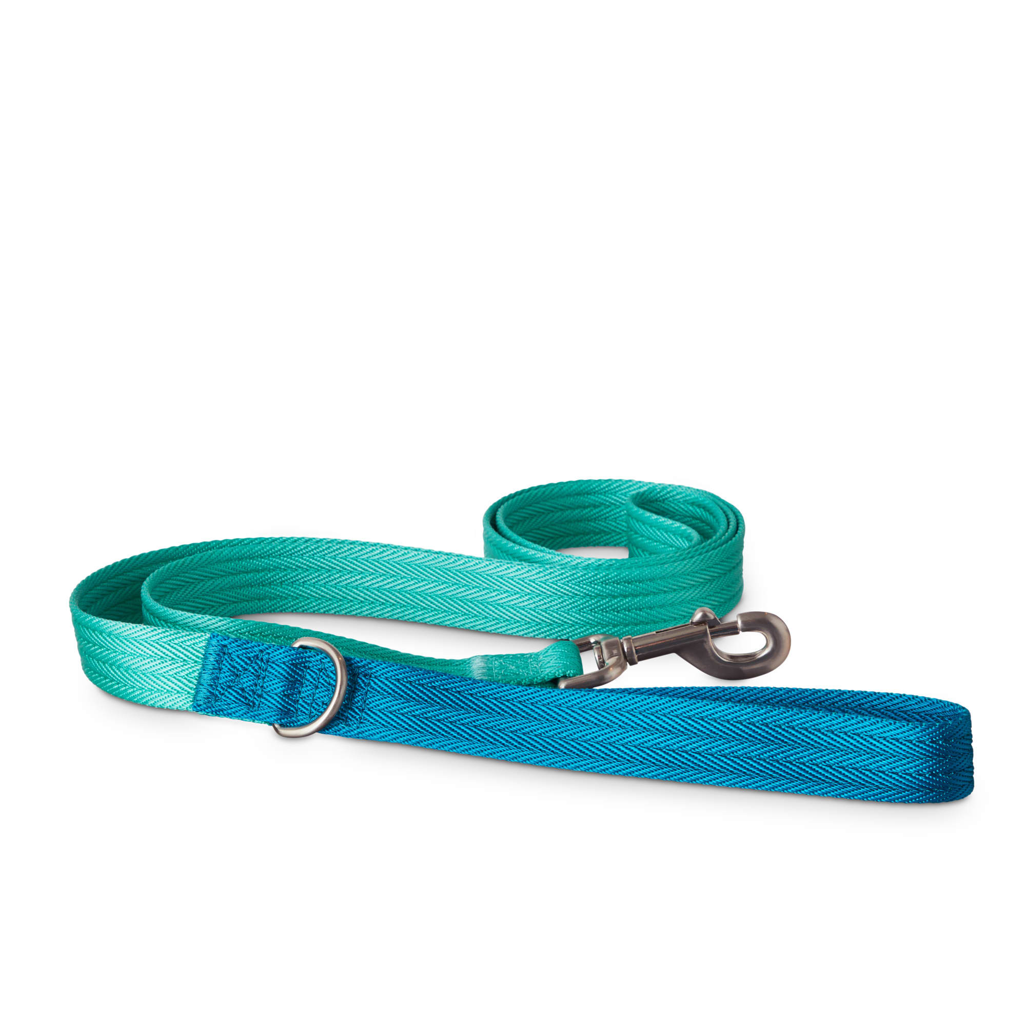 blue dog collar and leash