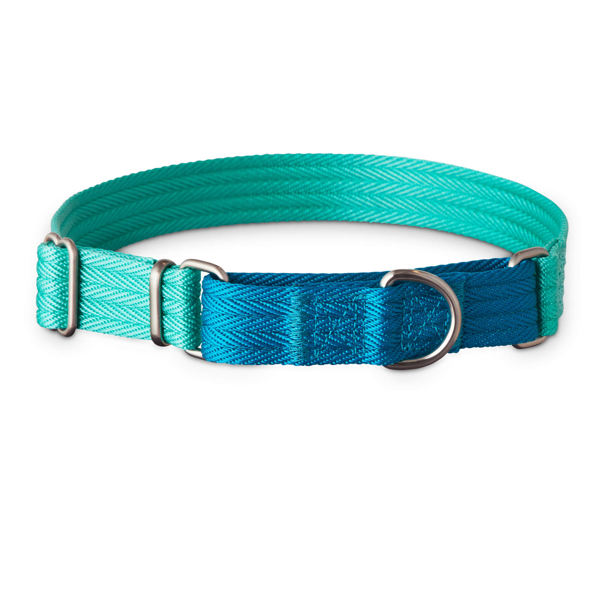 Good2Go Teal and Blue Two Tone Martingale Dog Collar ...